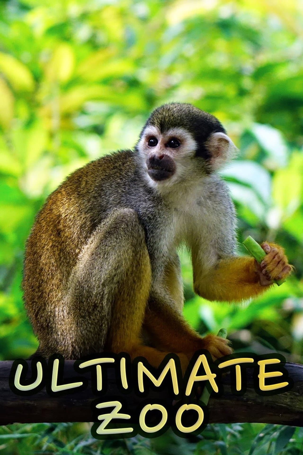 Ultimate Zoo preview 2