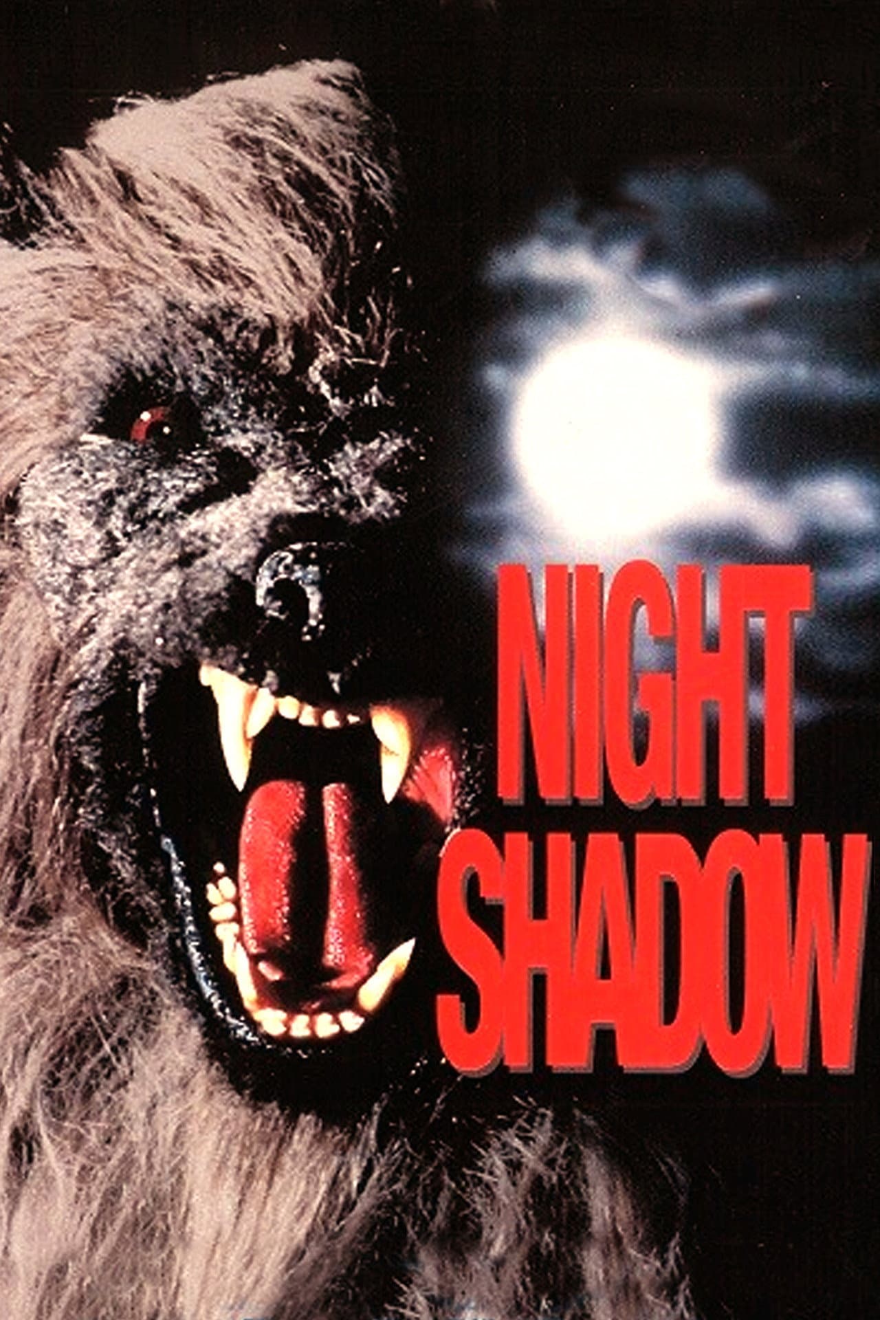 Night Shadow preview 1