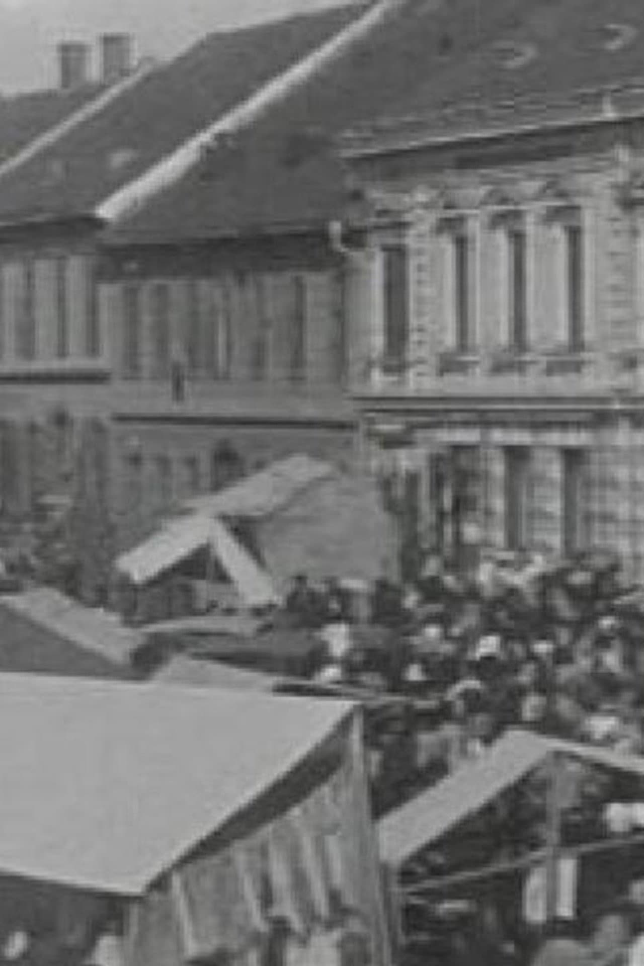 The Ljutomer Fair preview 1