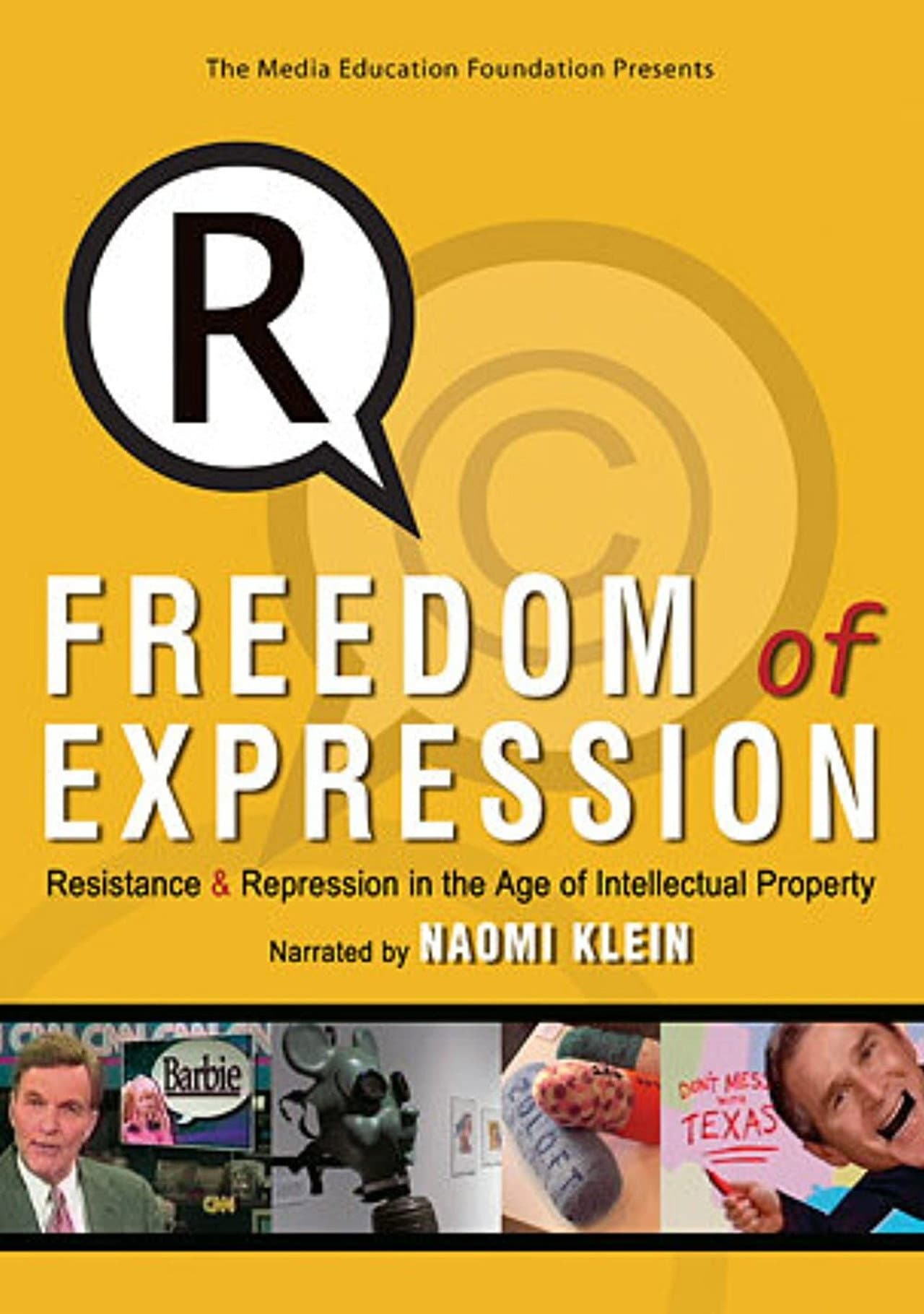 Freedom of Expression: Resistance & Repression in the Age of Intellectual Property preview 2