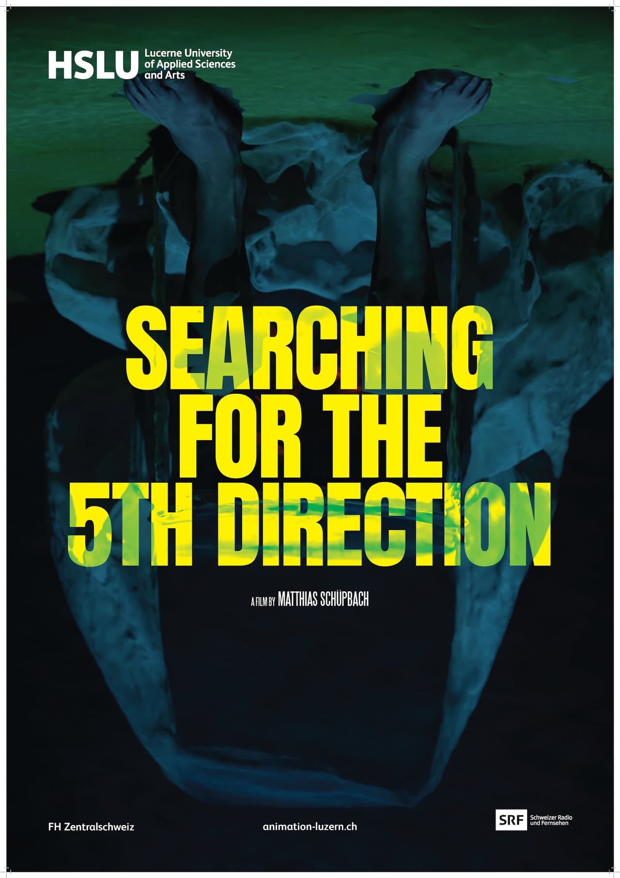 Searching for the 5th Direction preview 1