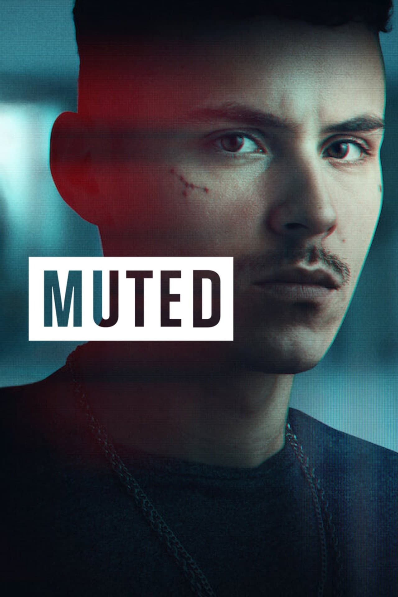 Muted preview 2