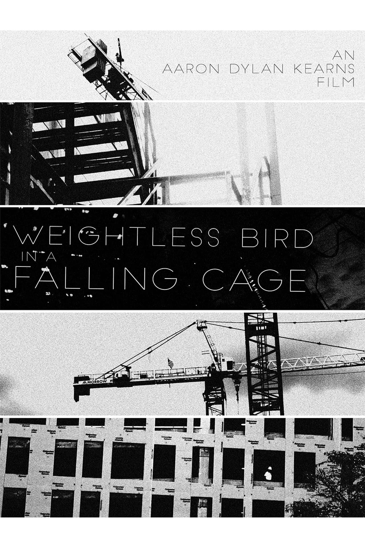 Weightless Bird In A Falling Cage preview 2