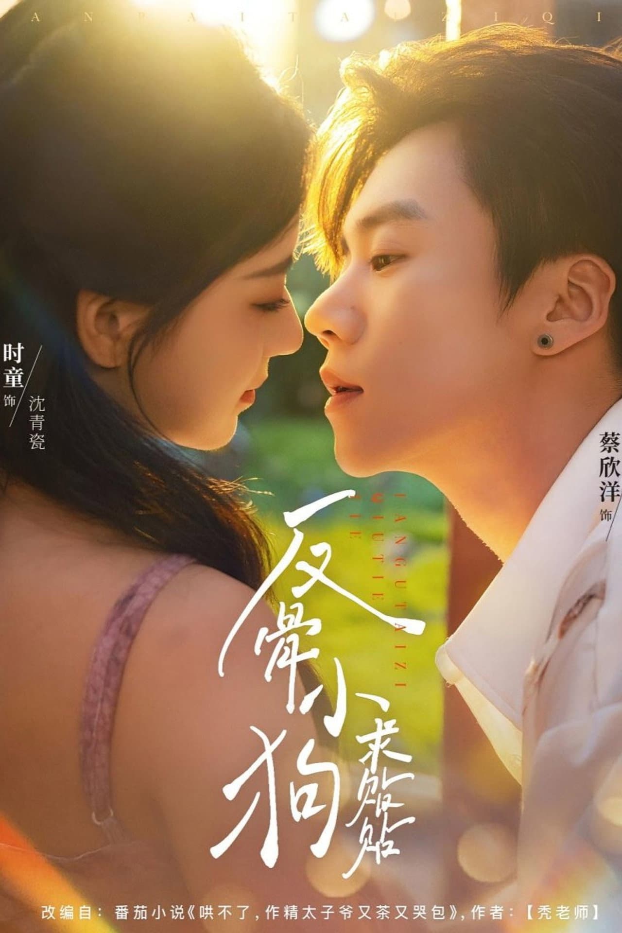 Fan Gu Xiao Gou Qiu Tie Tie preview 2