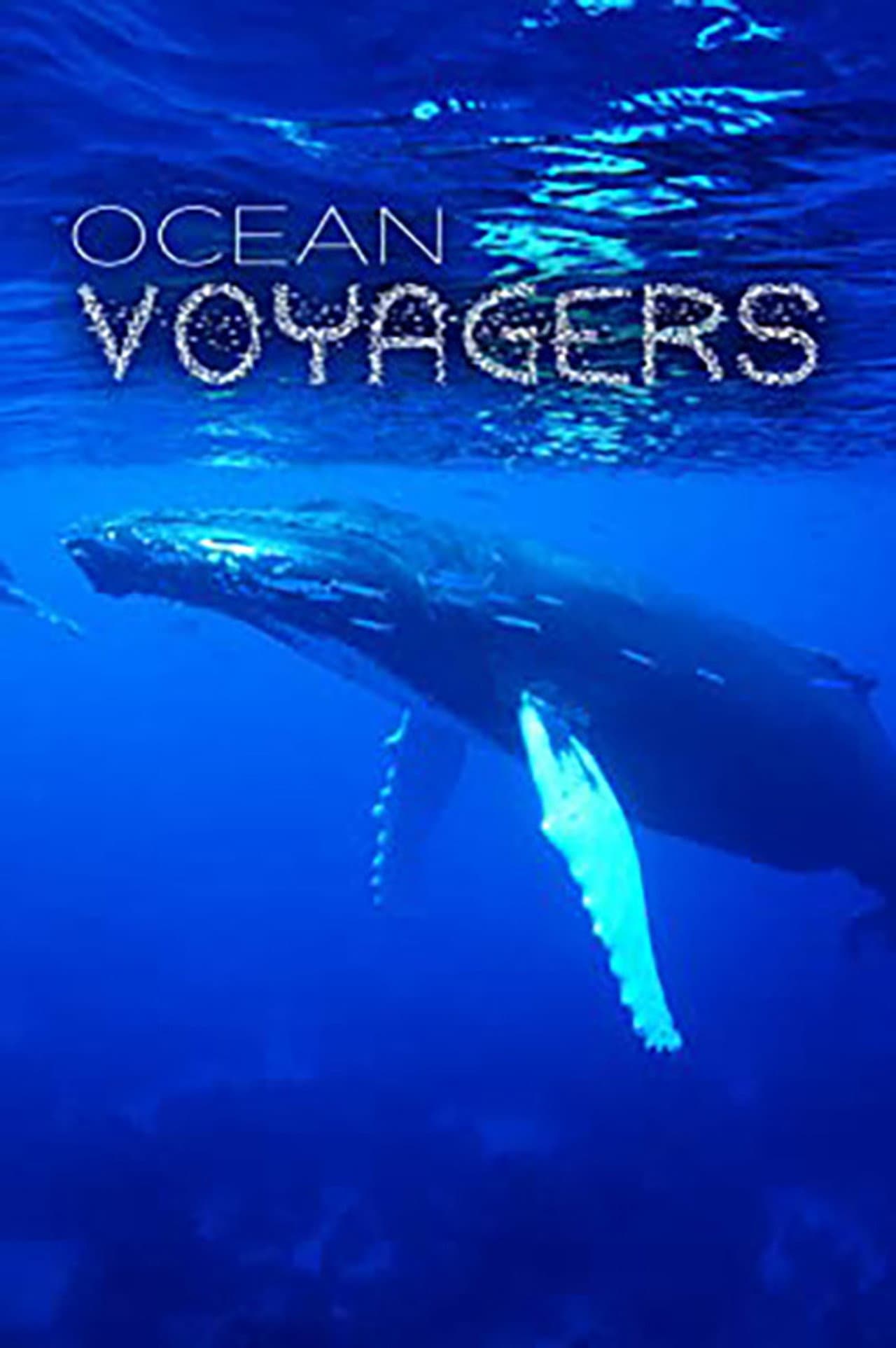 Ocean Voyagers preview 1