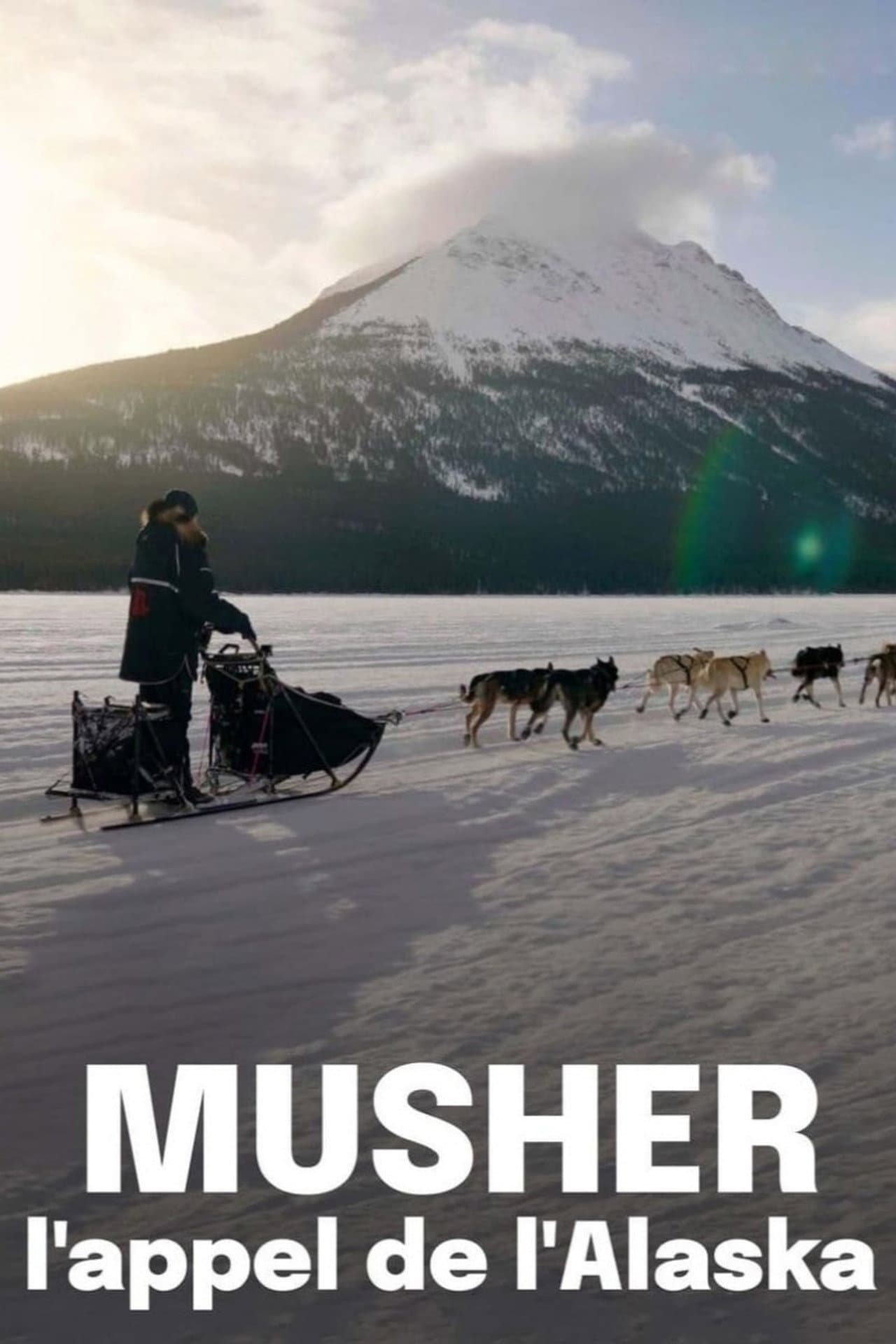 Musher, l'appel de l'Alaska preview 2