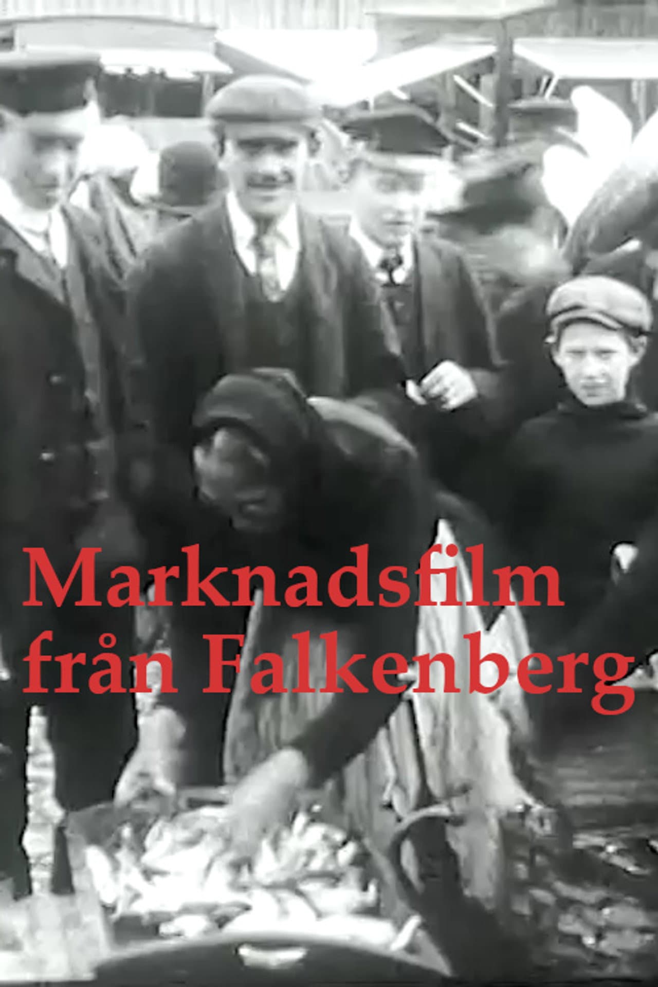Falkenberg Market preview 1