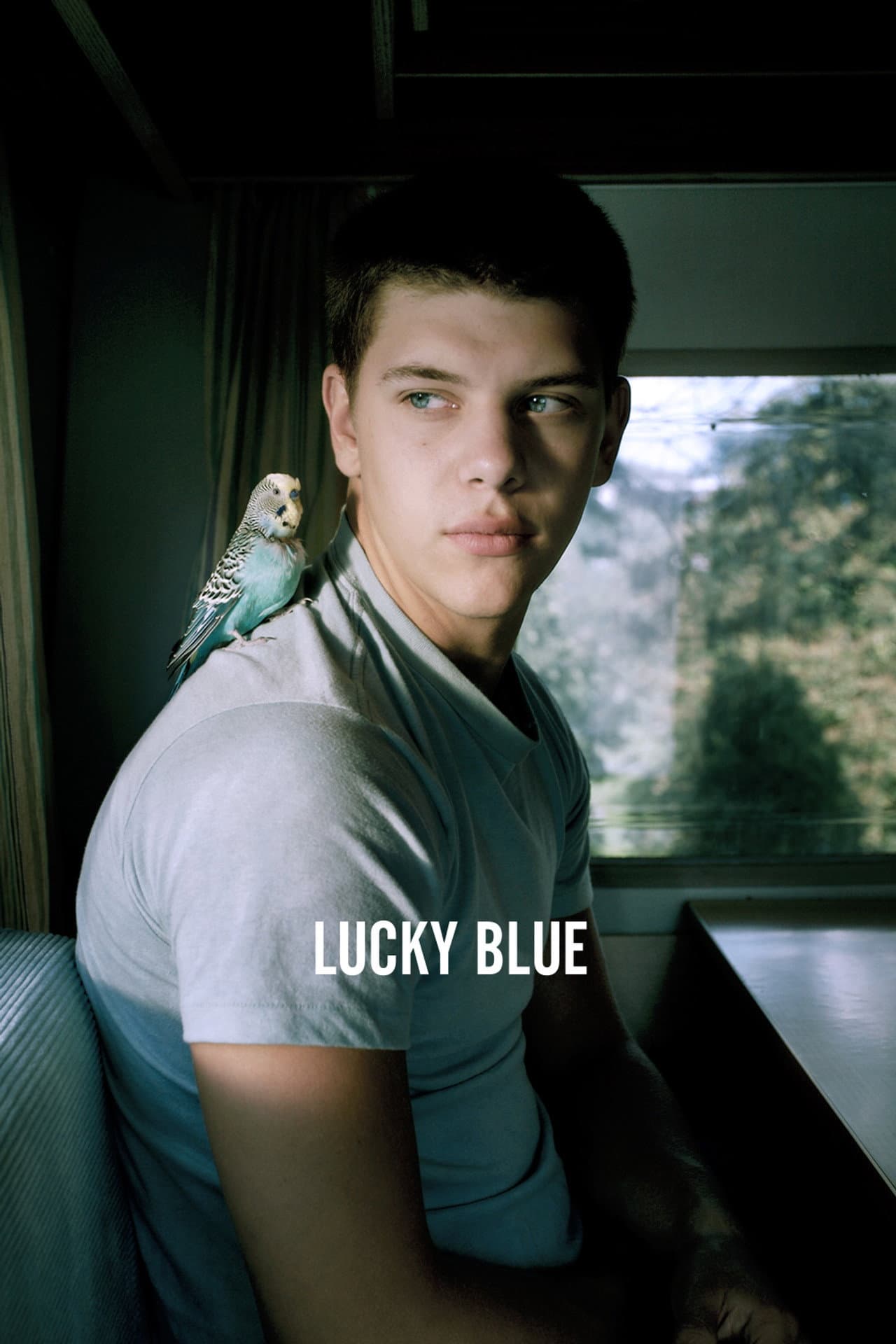Lucky Blue preview 2
