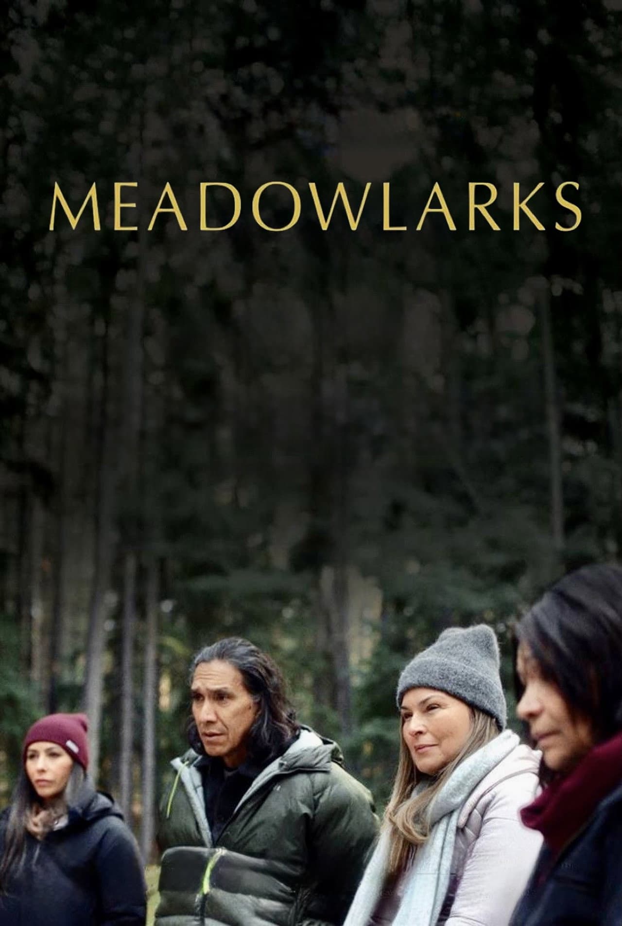 Meadowlarks preview 2