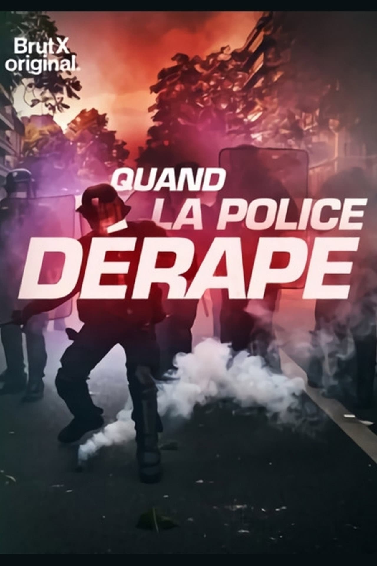 Quand la police dérape preview 1