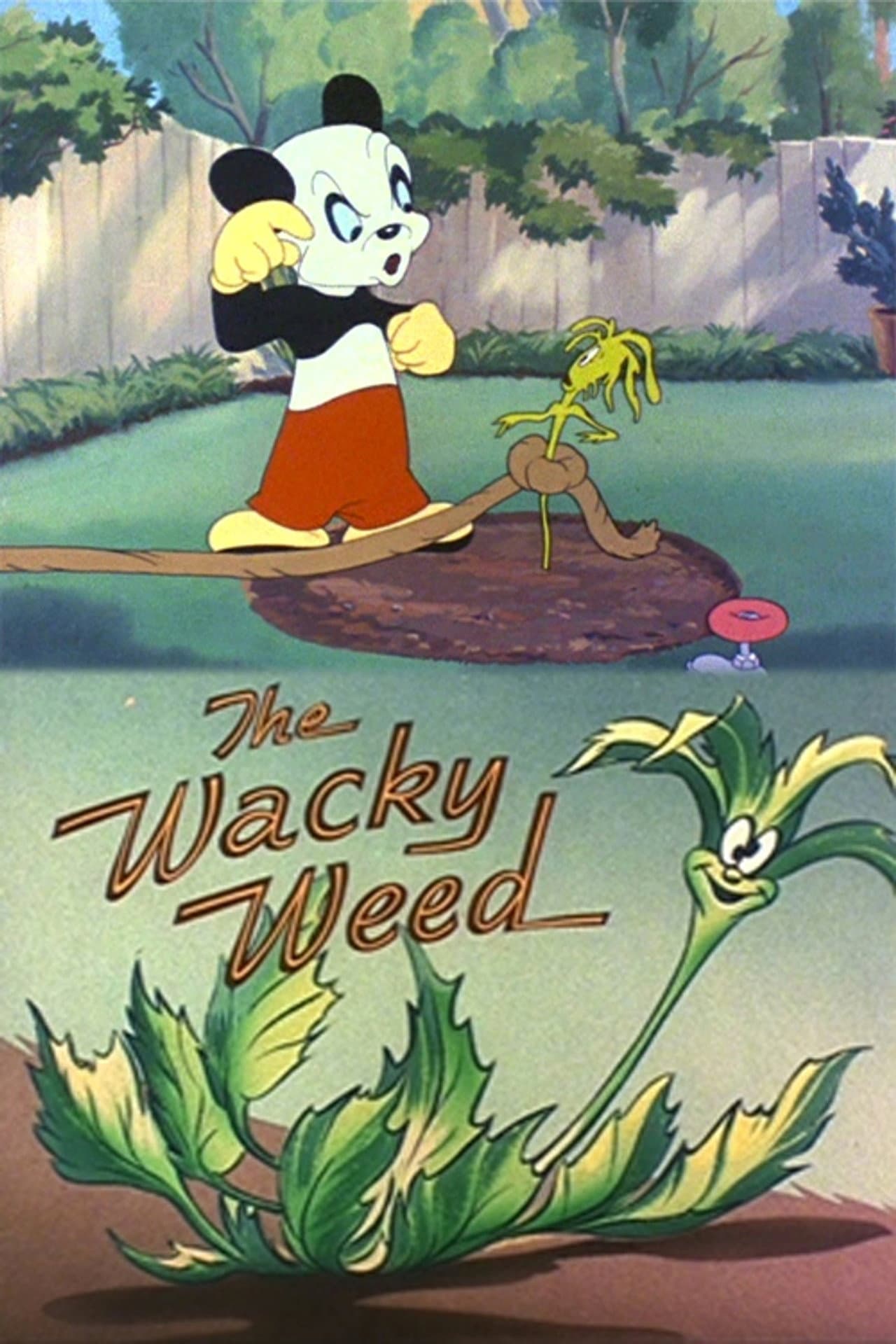 The Wacky Weed preview 1