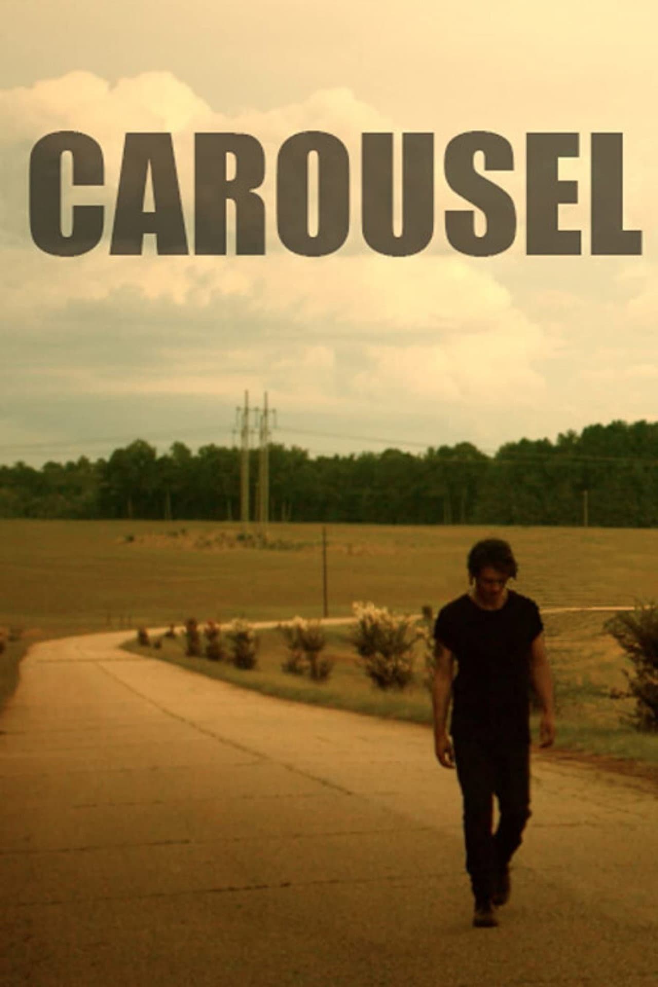 Carousel preview 1