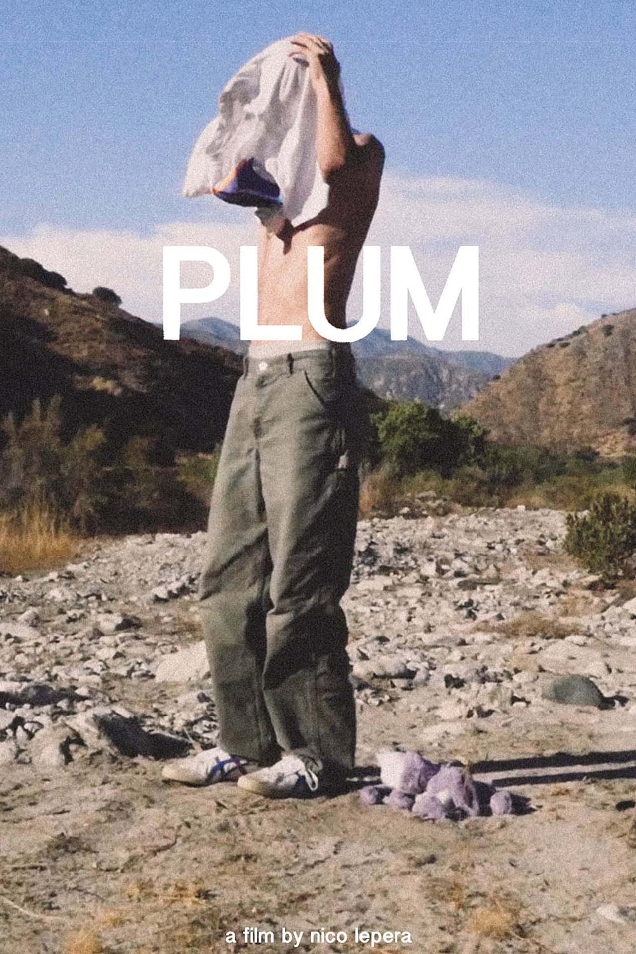 Plum preview 2
