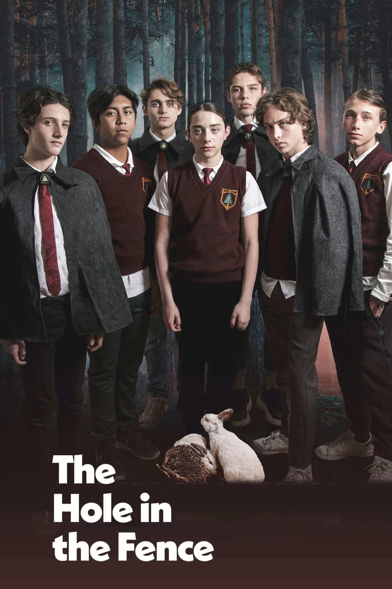 The Hole in the Fence preview 2
