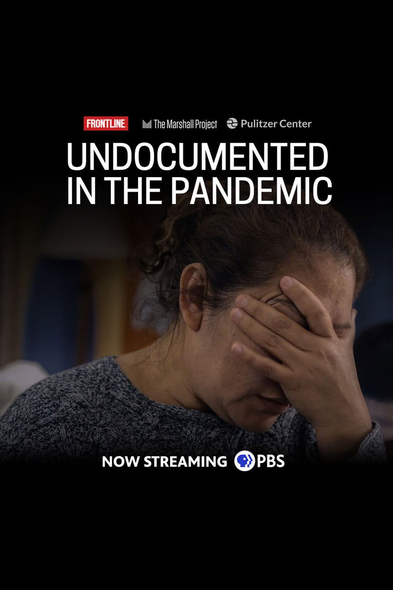 Undocumented in the Pandemic preview 1