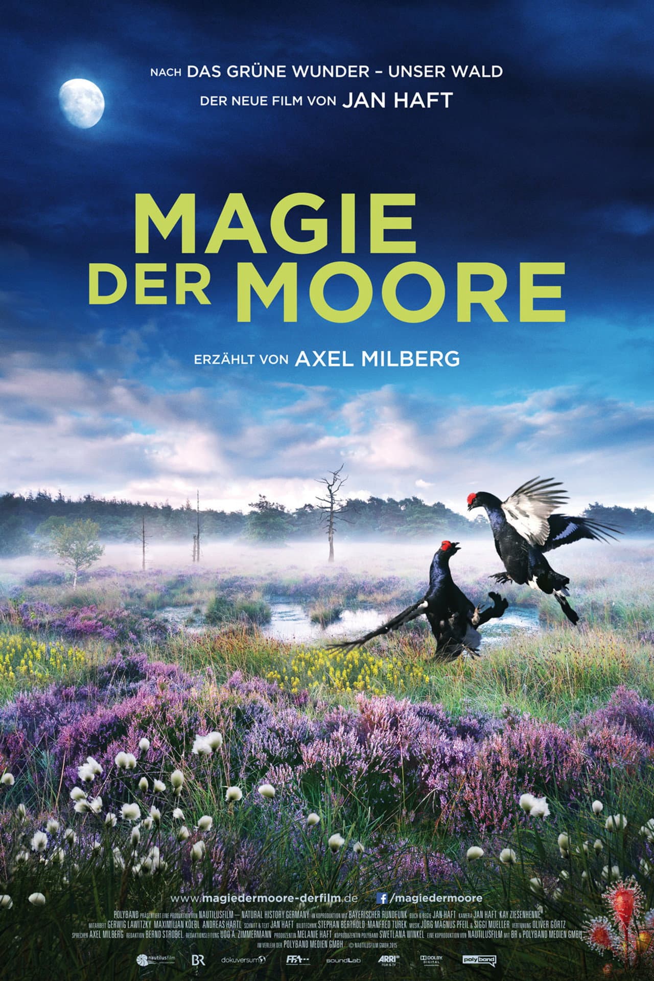Magie der Moore preview 2