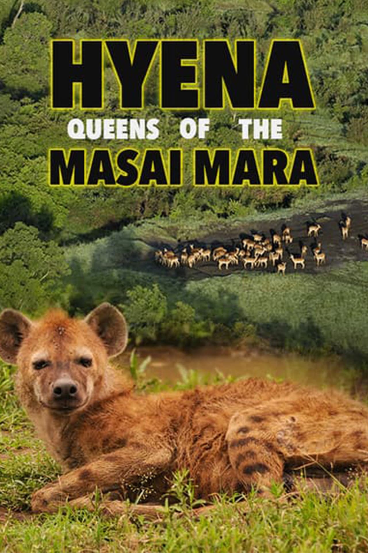 Hyena: Queen of the Masai Mara preview 2