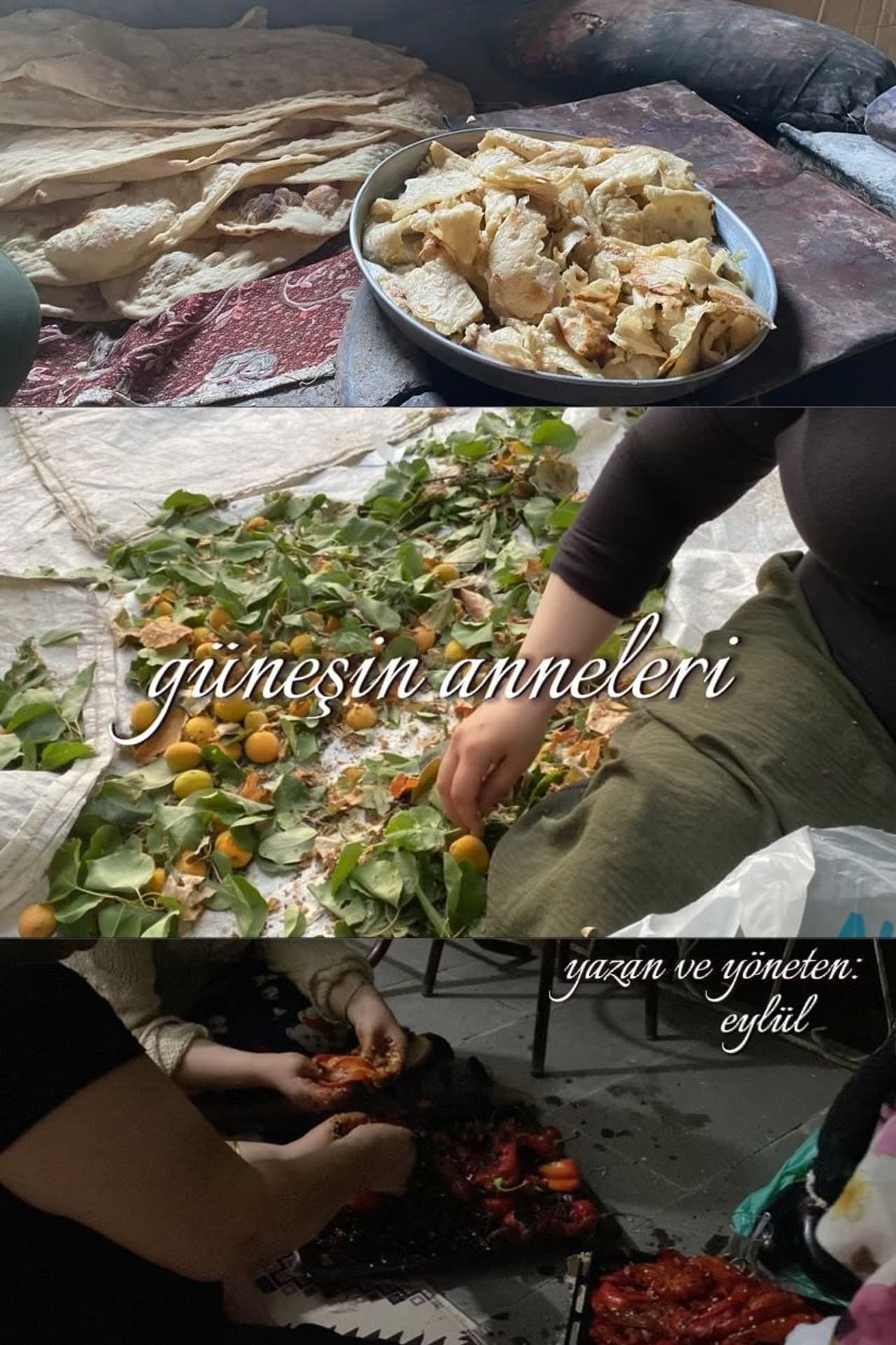 Güneşin Anneleri preview 1