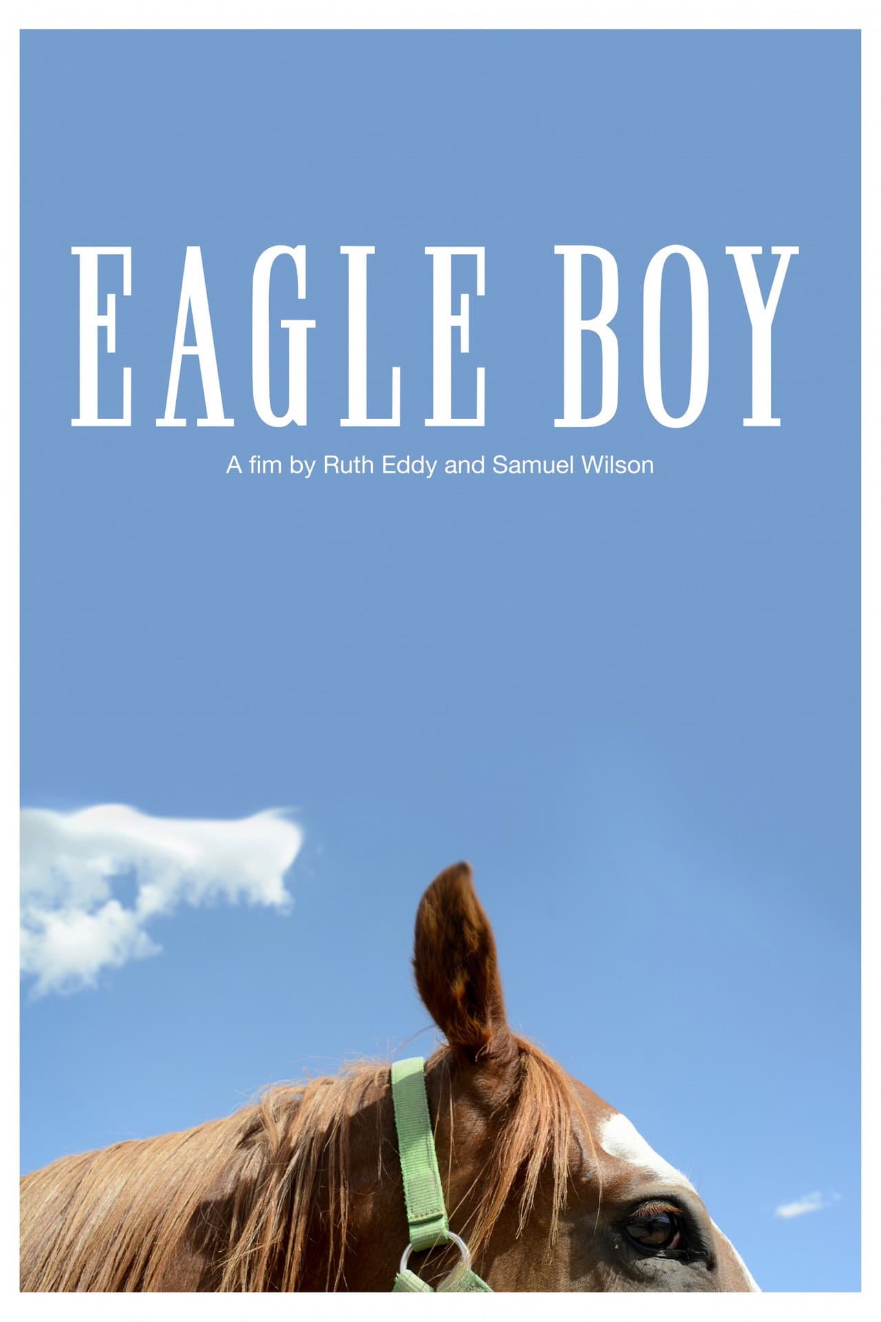 Eagle Boy preview 1