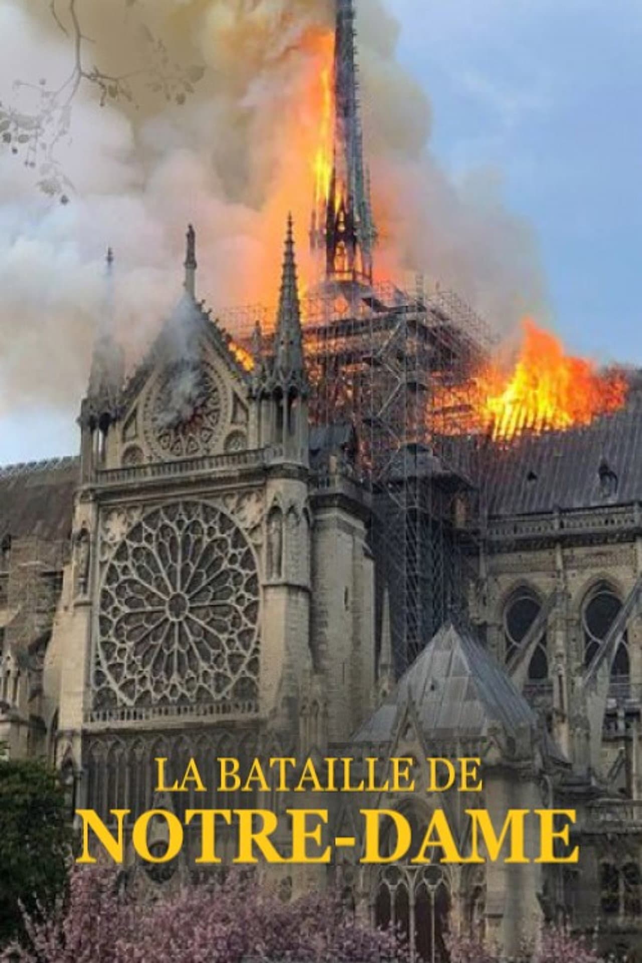 La bataille de Notre-Dame preview 2