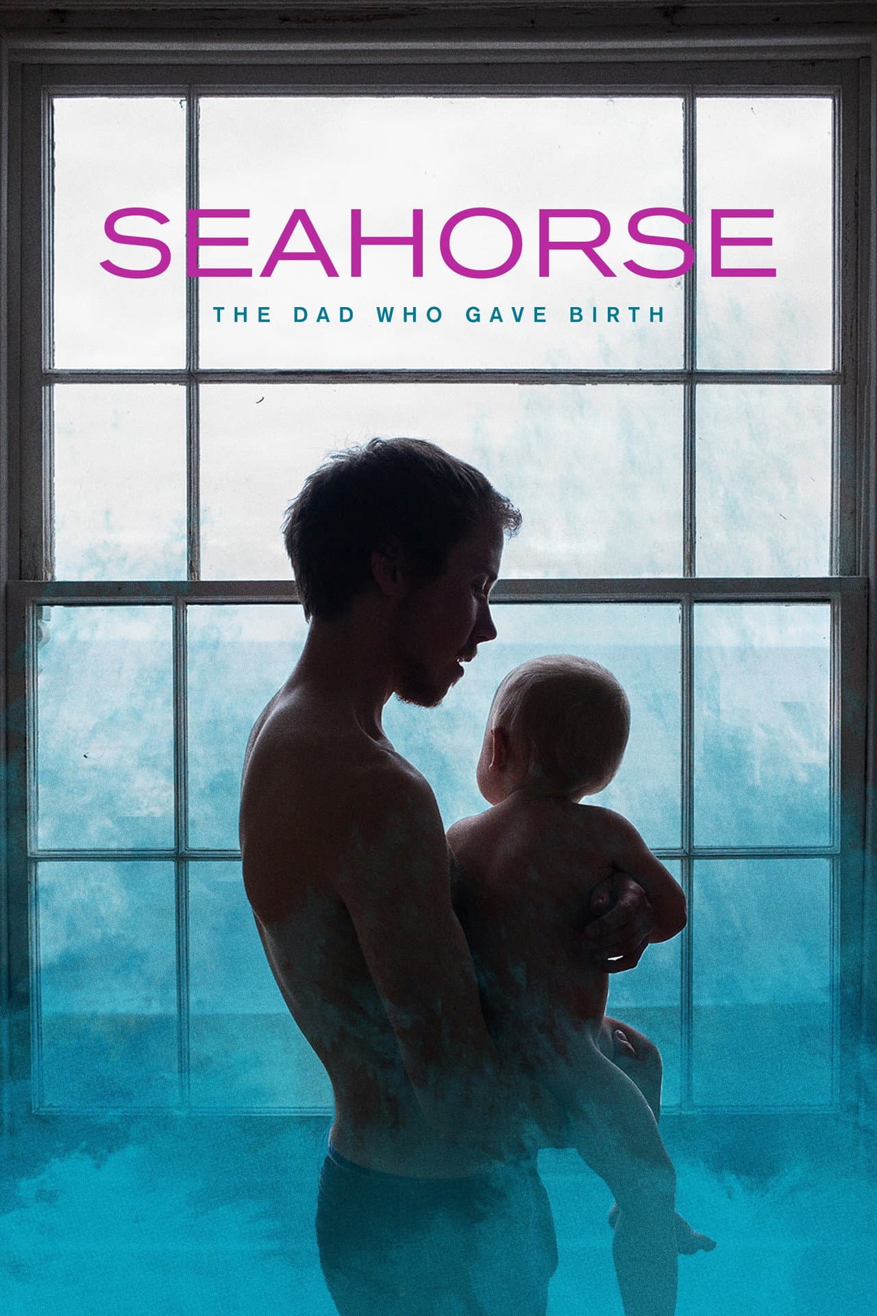 Seahorse: The Dad Who Gave Birth preview 2