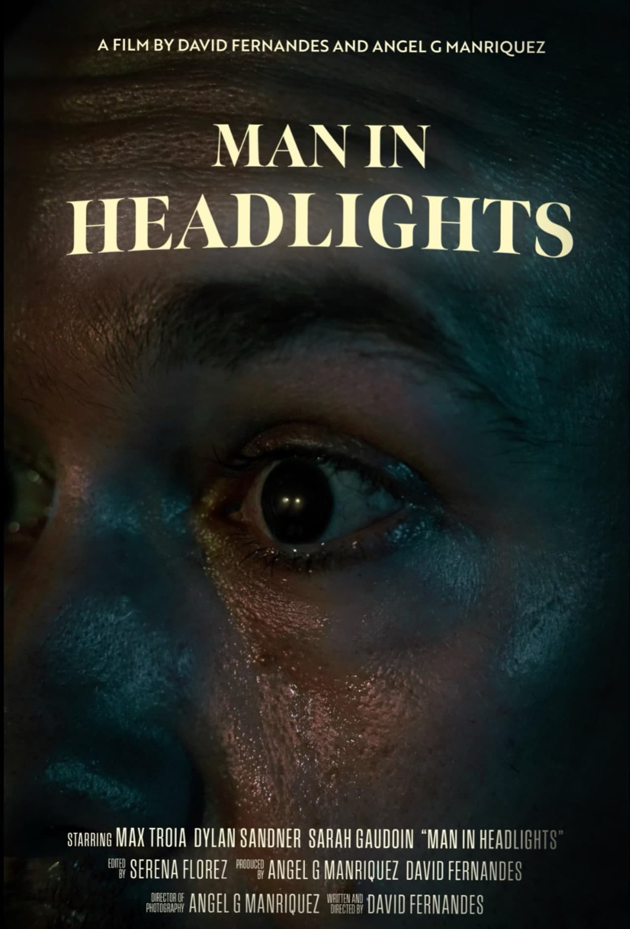 Man in Headlights preview 1