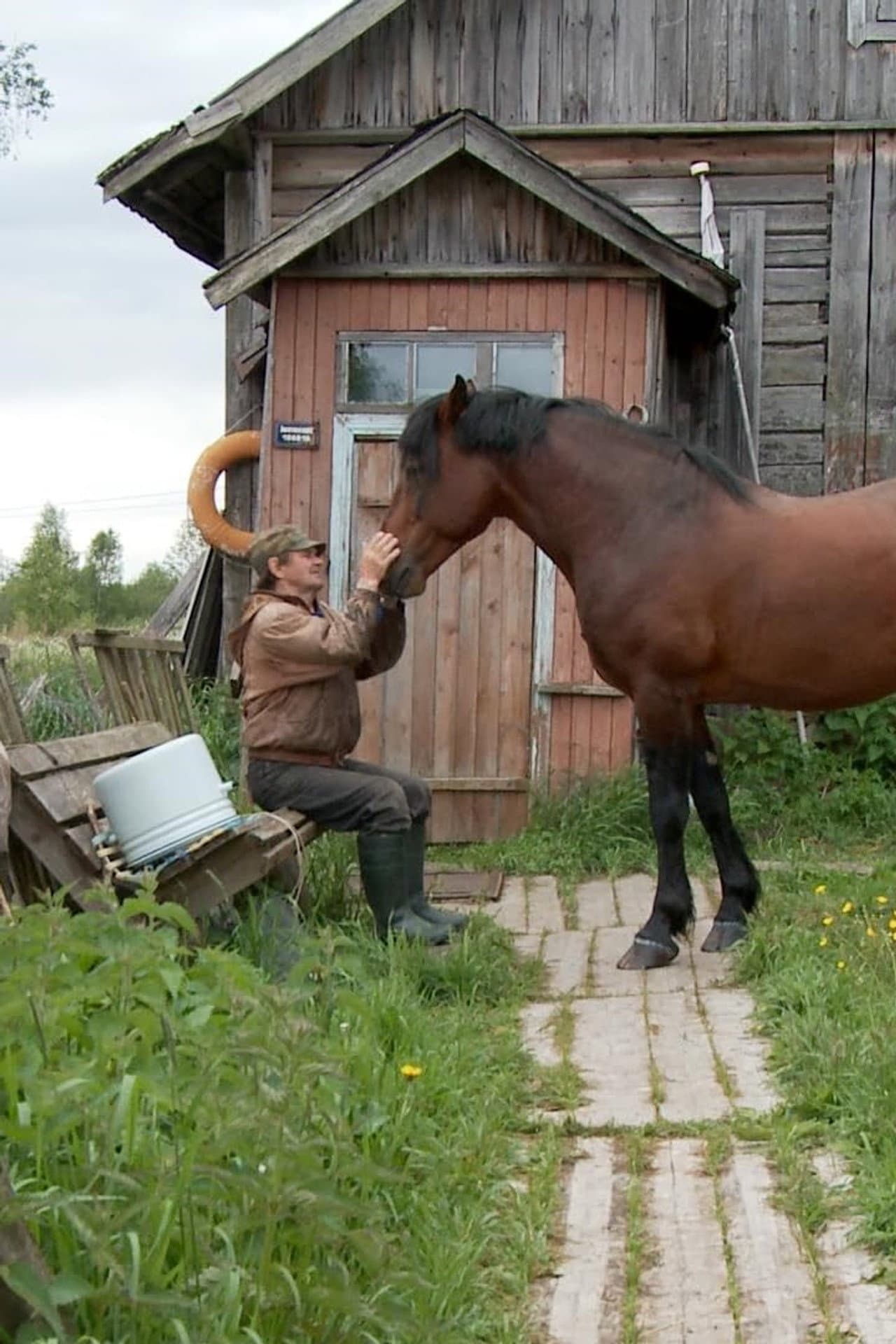 The Robinsons of Mantsinsaari preview 1