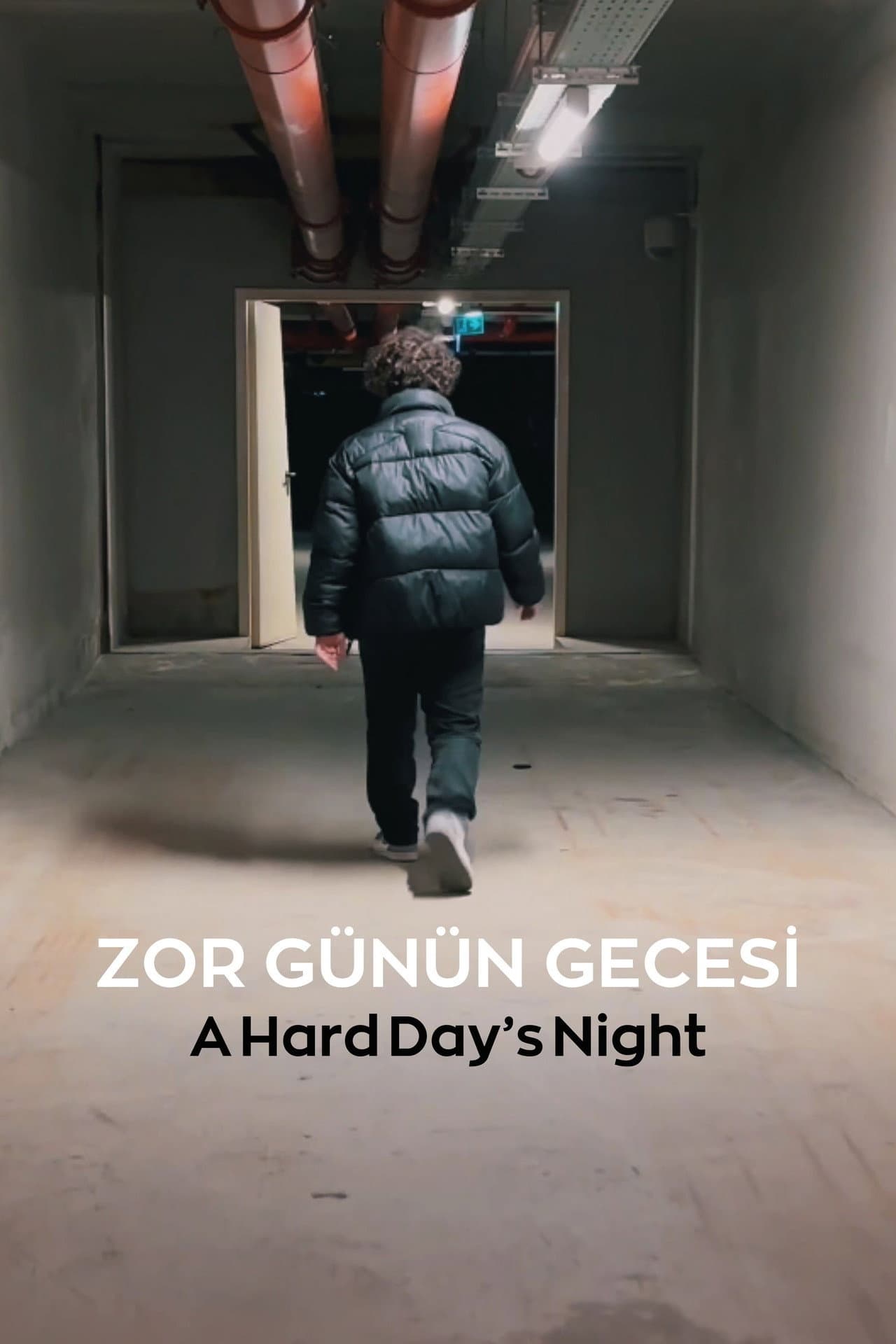 Zor Günün Gecesi preview 2