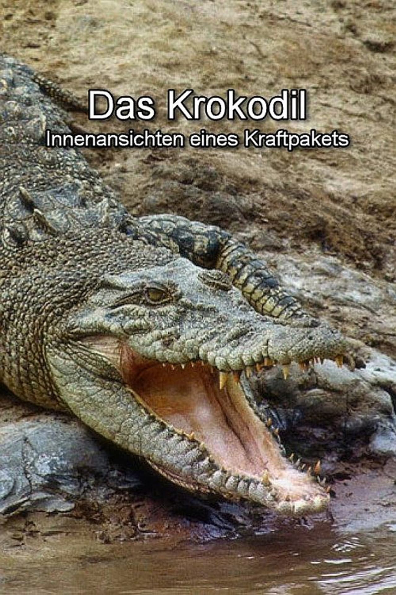 Das Krokodil - Innenansichten eines Kraftpakets preview 2