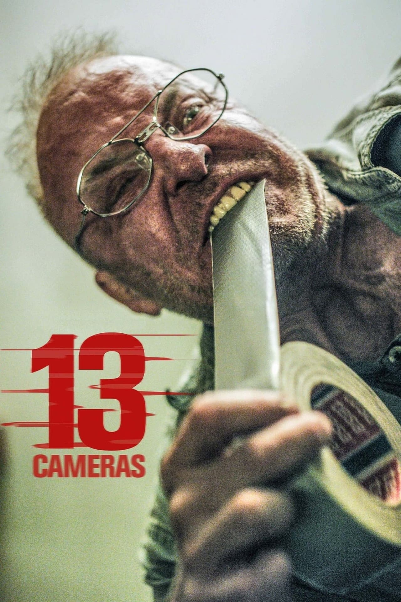 13 Cameras preview 2