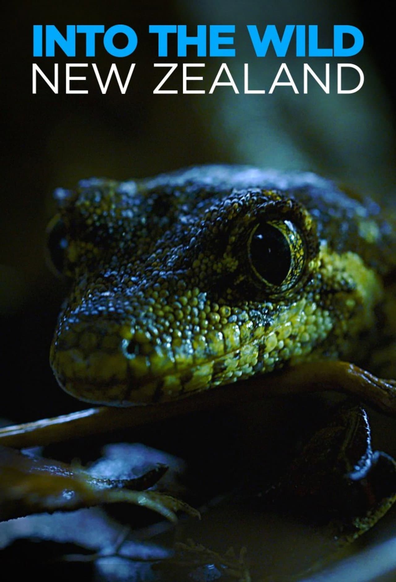 Into The Wild New Zealand preview 1