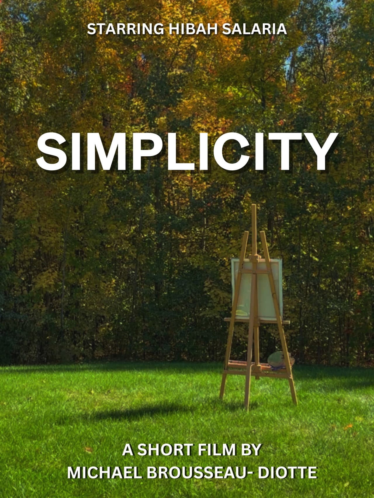 Simplicity preview 2