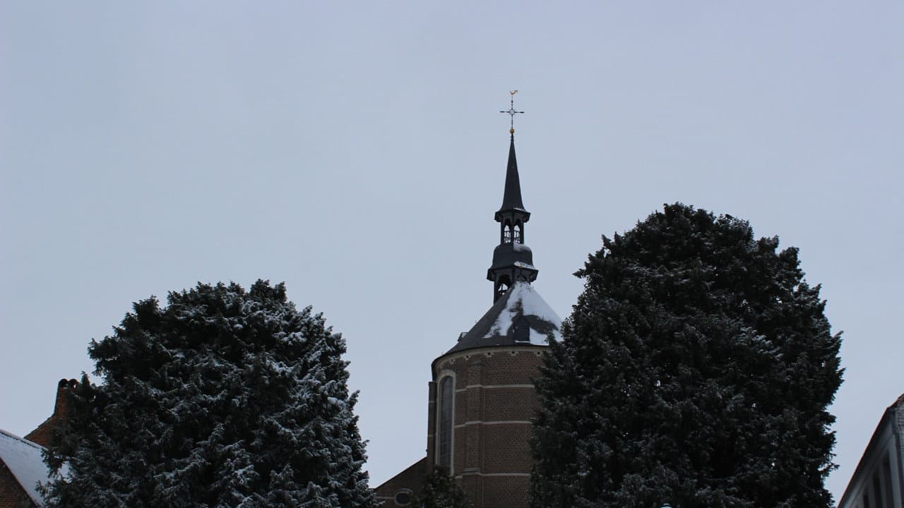De Verboden Vrucht