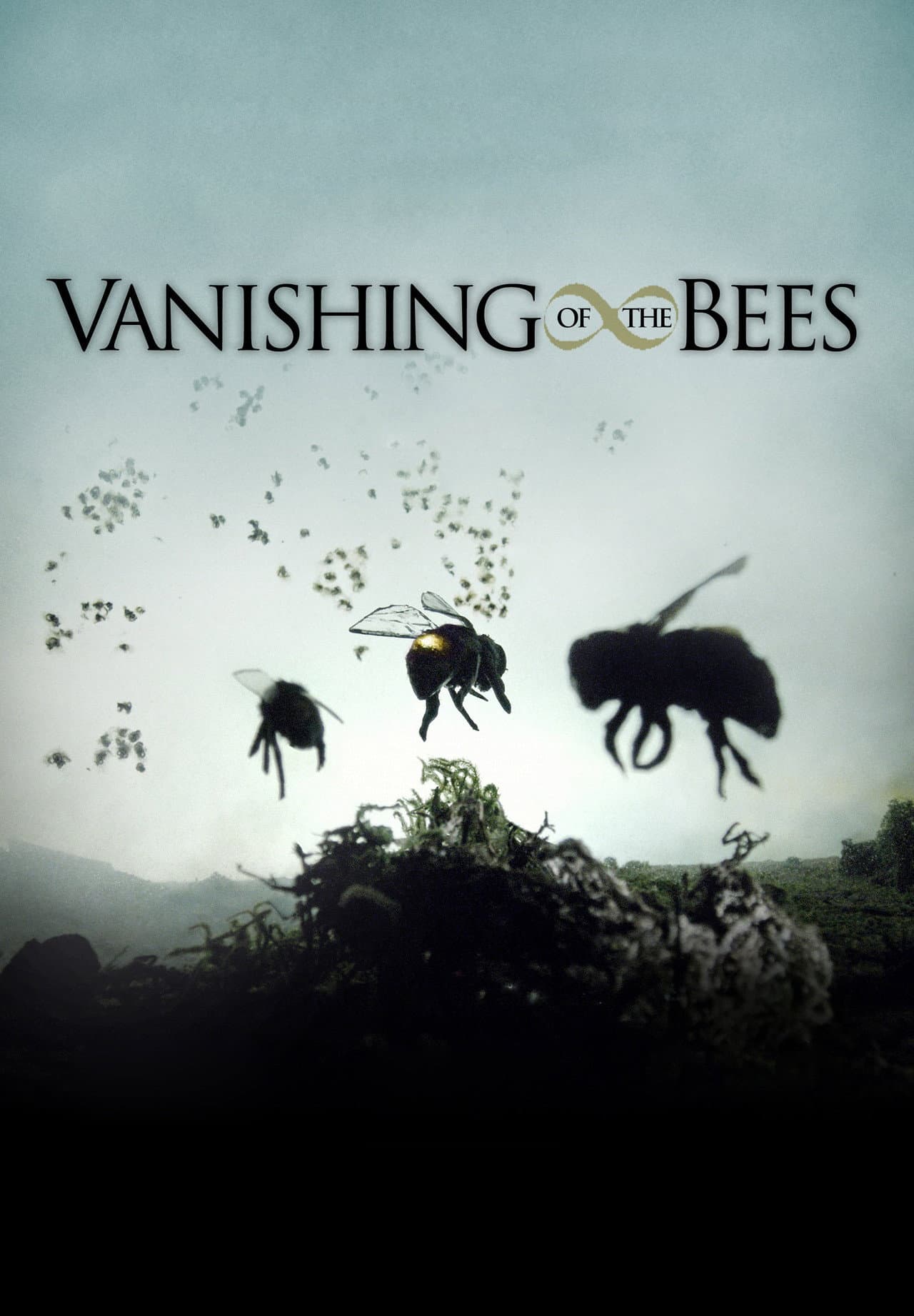 Vanishing of the Bees preview 1
