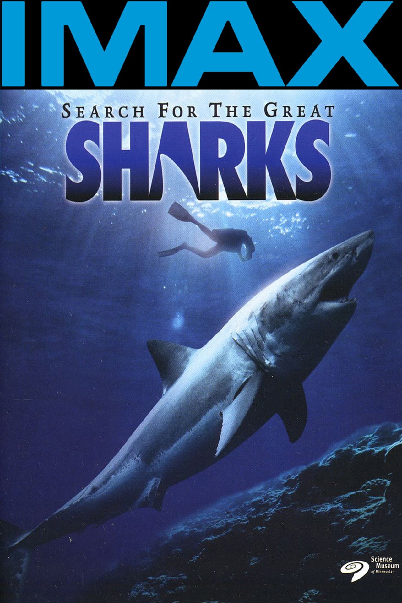 Search for the Great Sharks preview 1