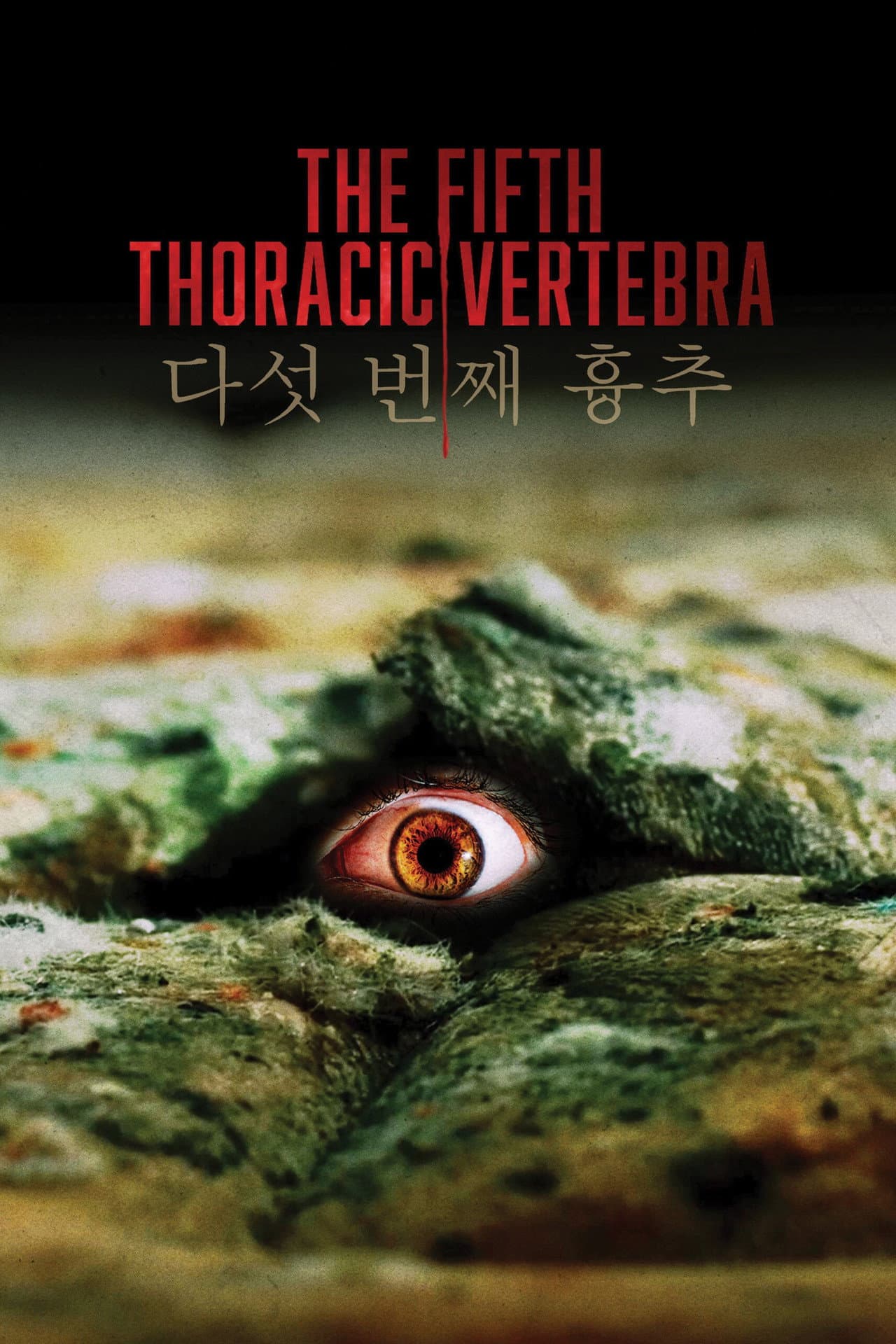 The Fifth Thoracic Vertebra preview 2
