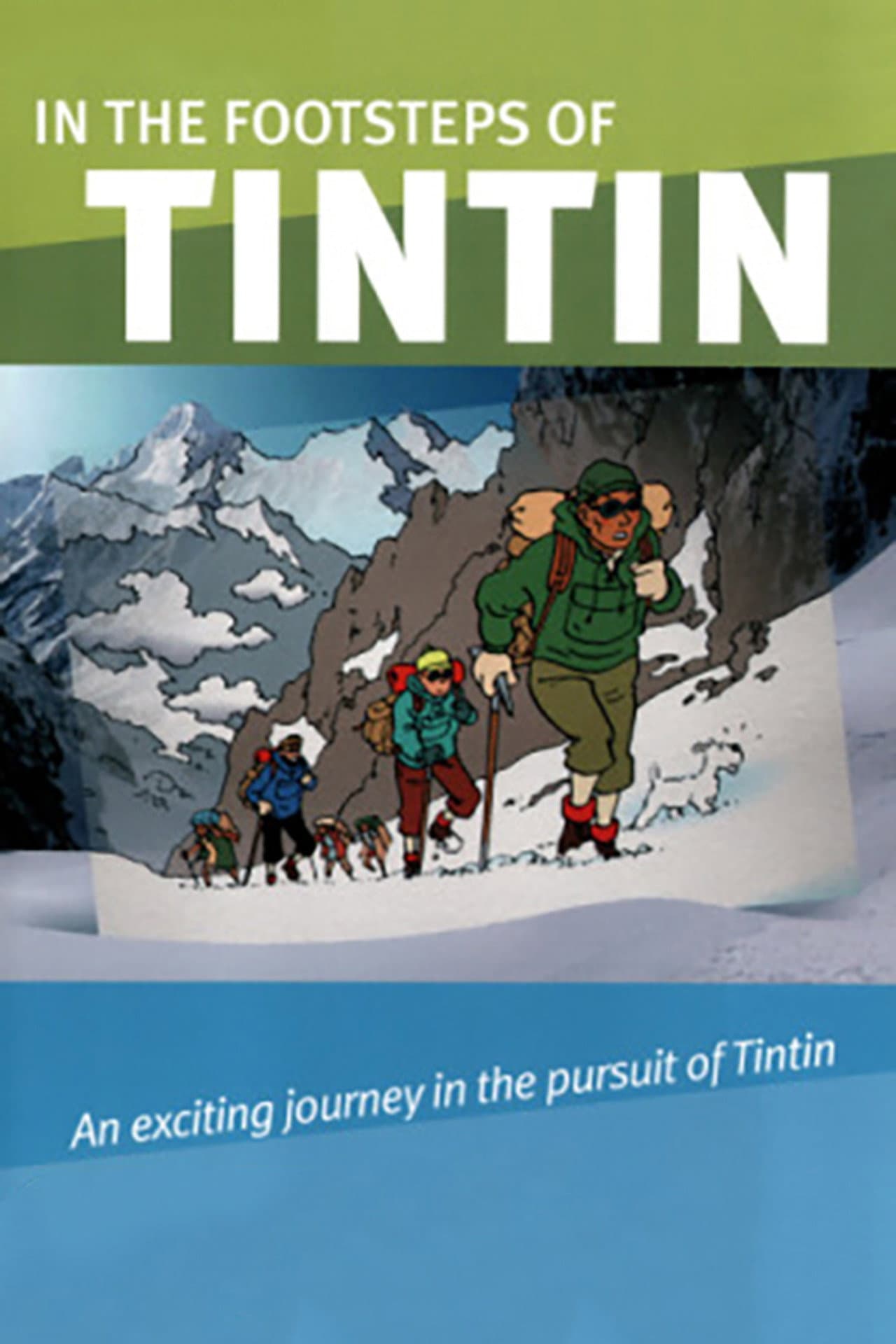 In the Footsteps of Tintin preview 1