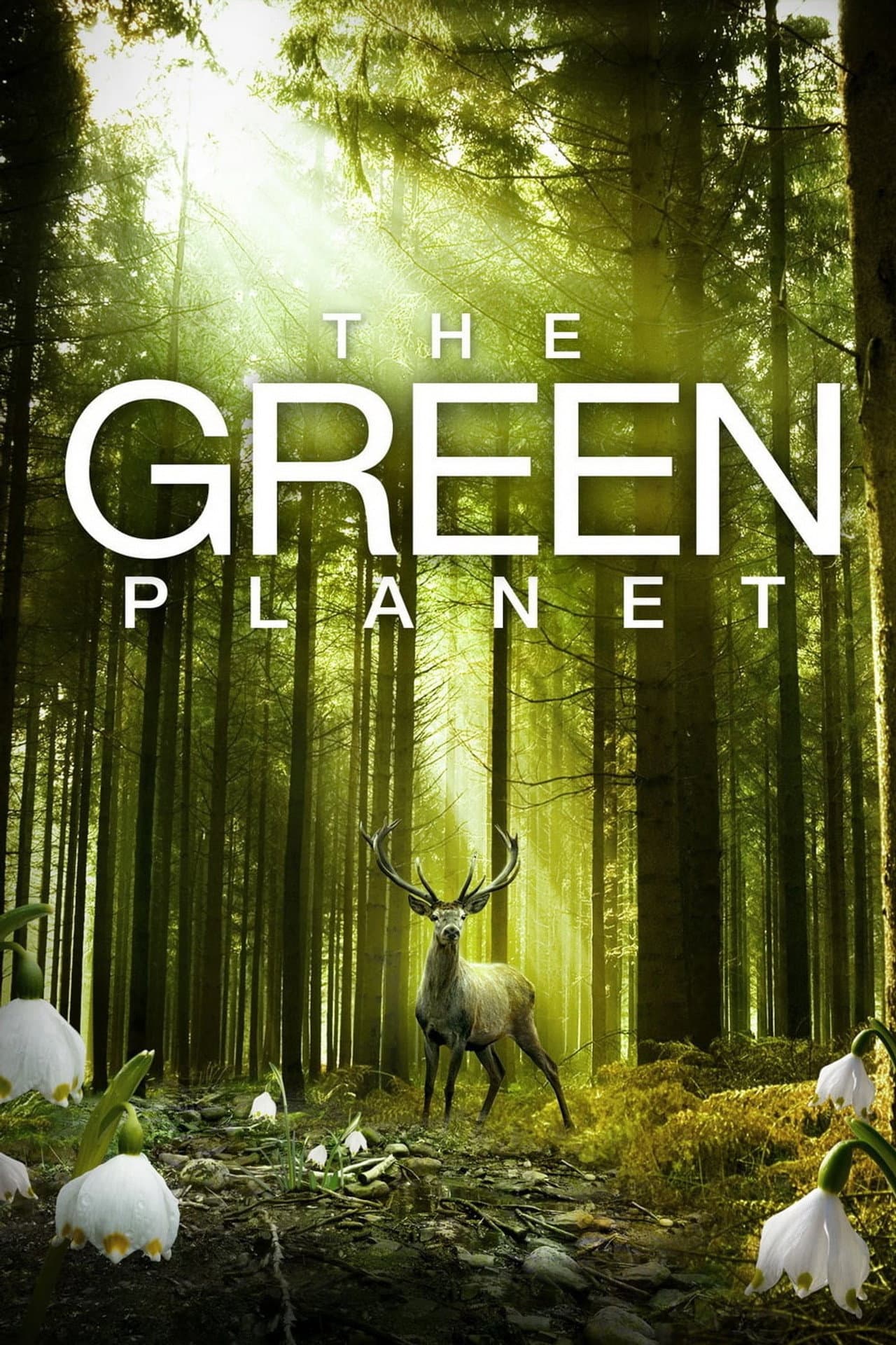 The Green Planet preview 2