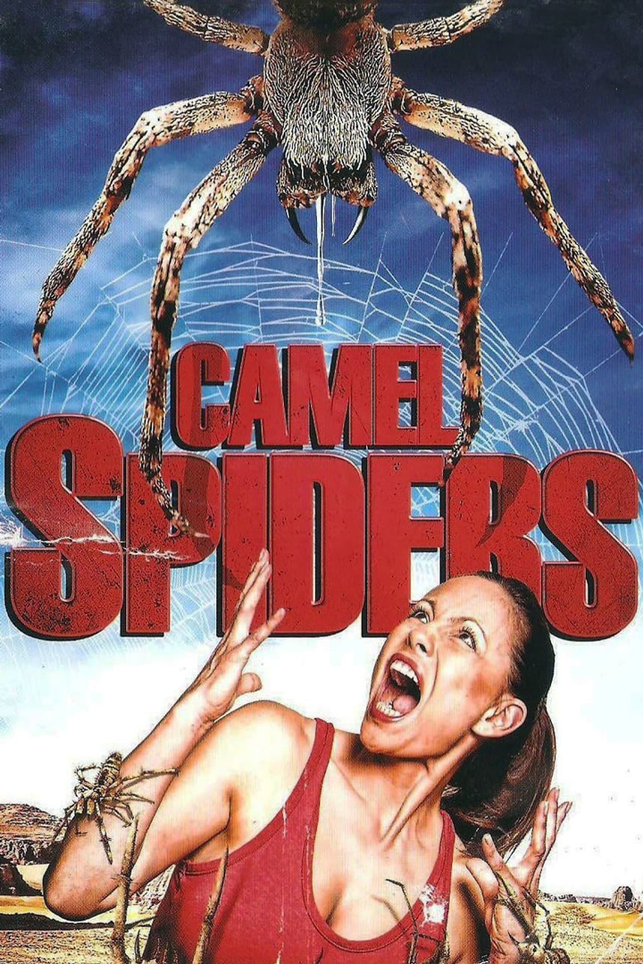 Camel Spiders preview 2