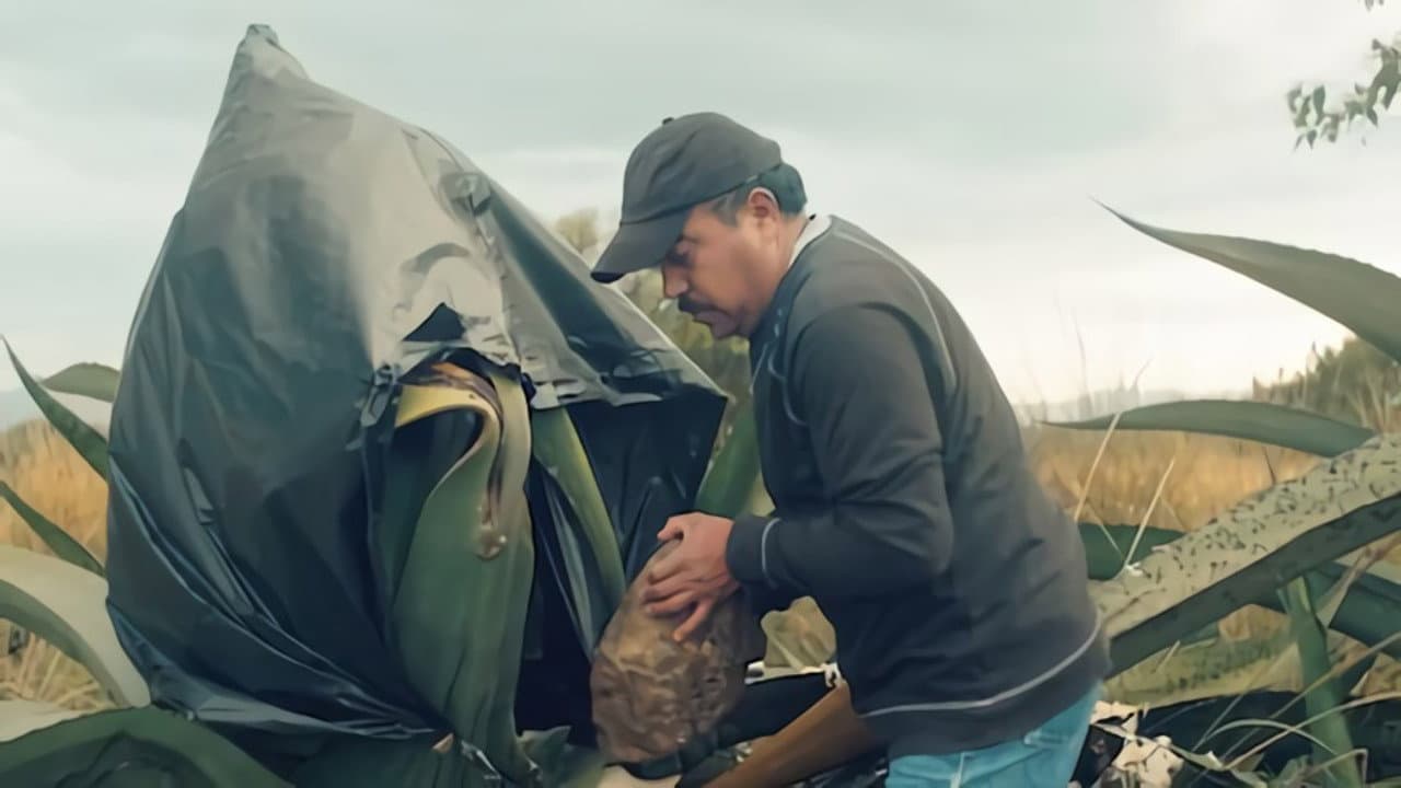 Barbacoa