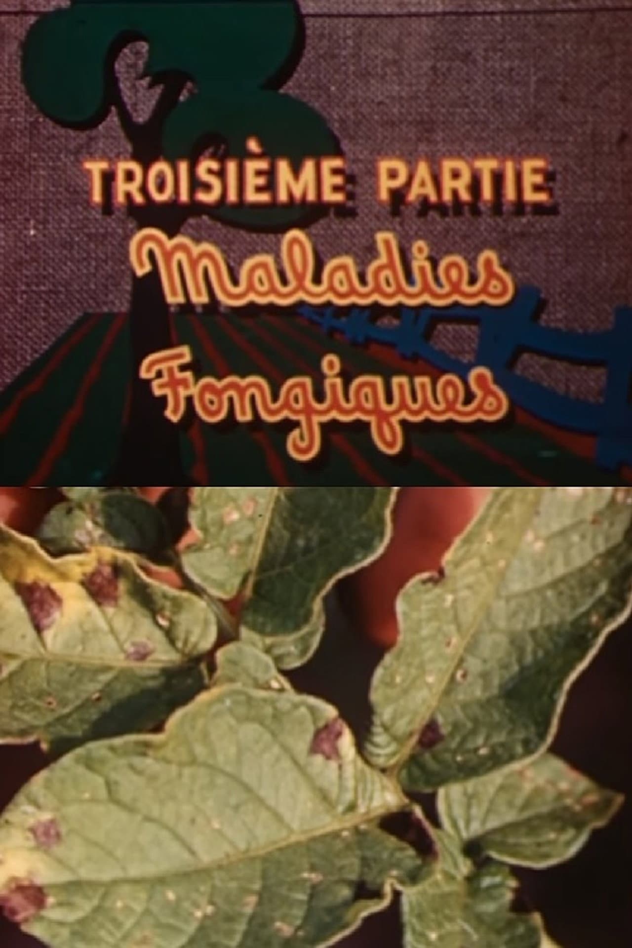 The Enemies of the Potato: Fungal Diseases preview 1