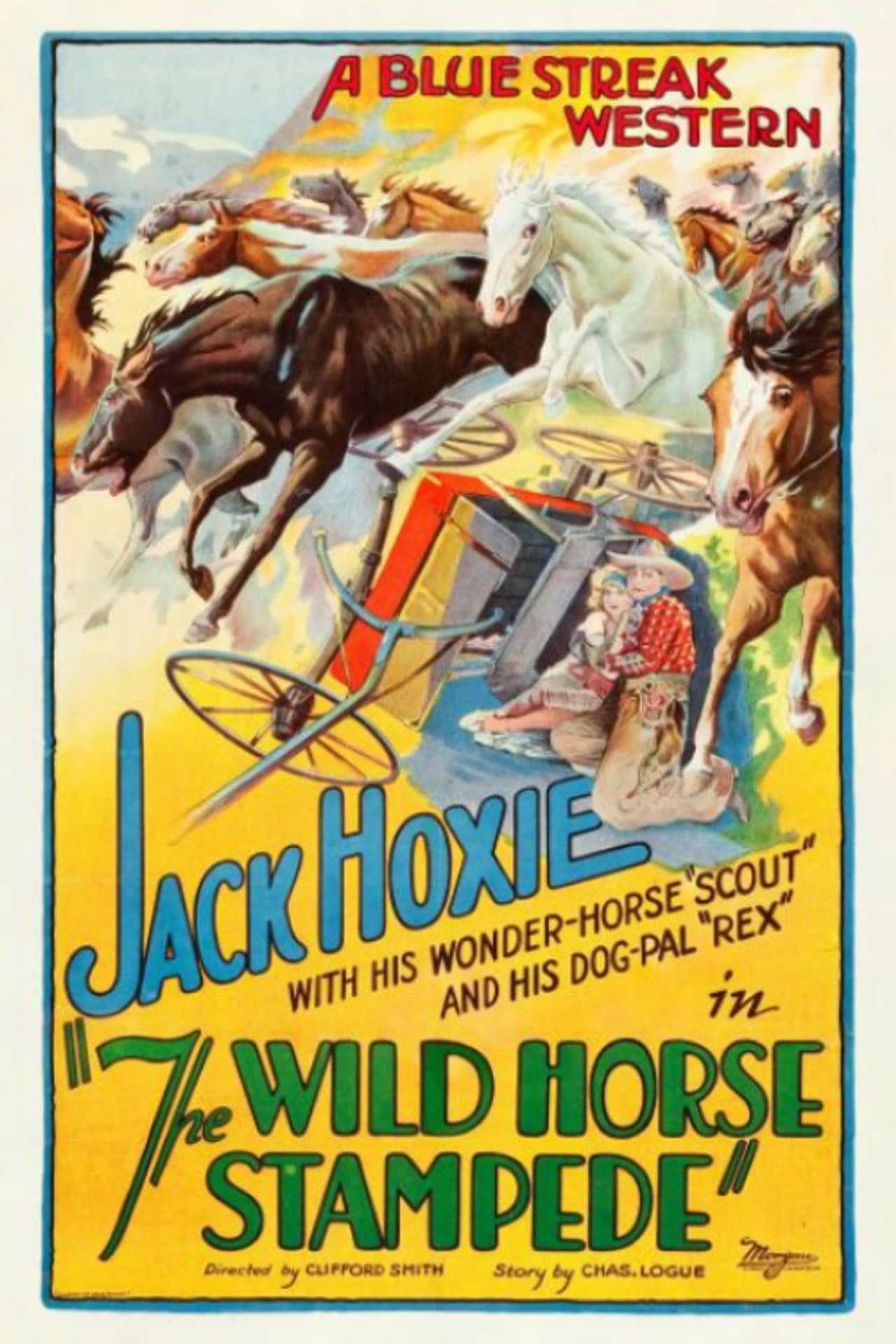 The Wild Horse Stampede preview 2