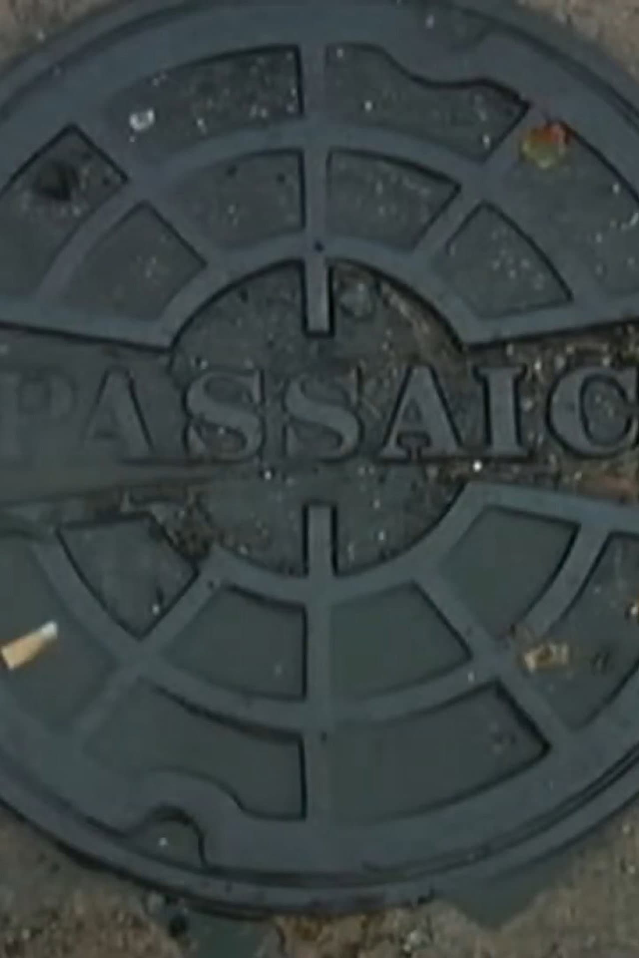 Passaic Mosaic preview 2