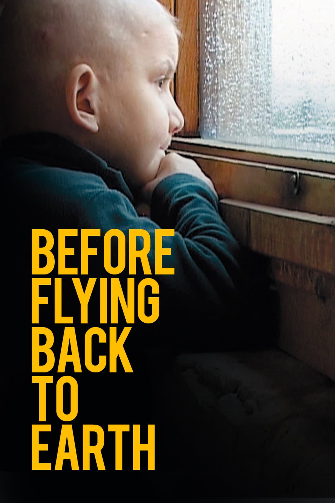 Before Flying Back to Earth preview 2