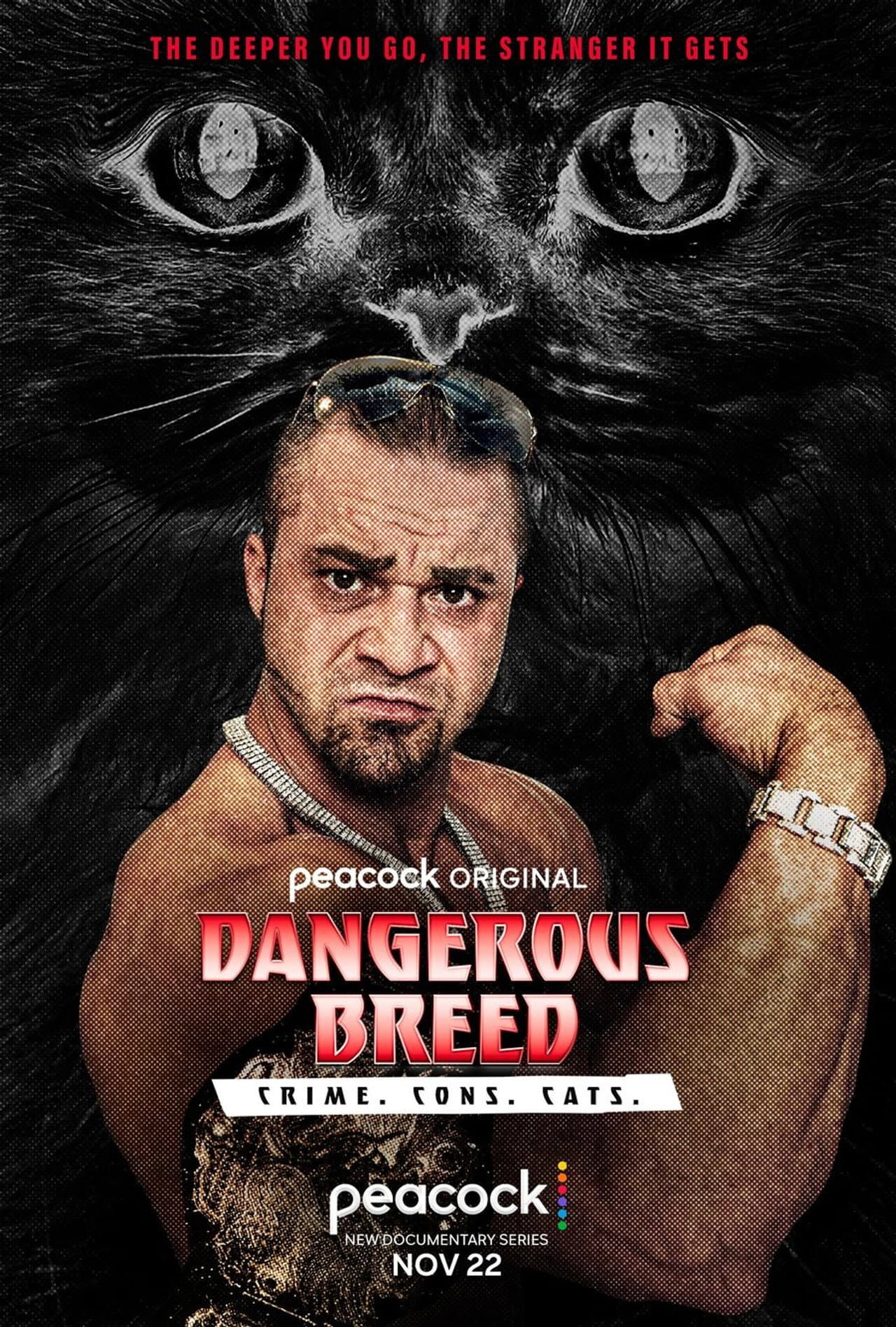 Dangerous Breed: Crime. Cons. Cats. preview 2
