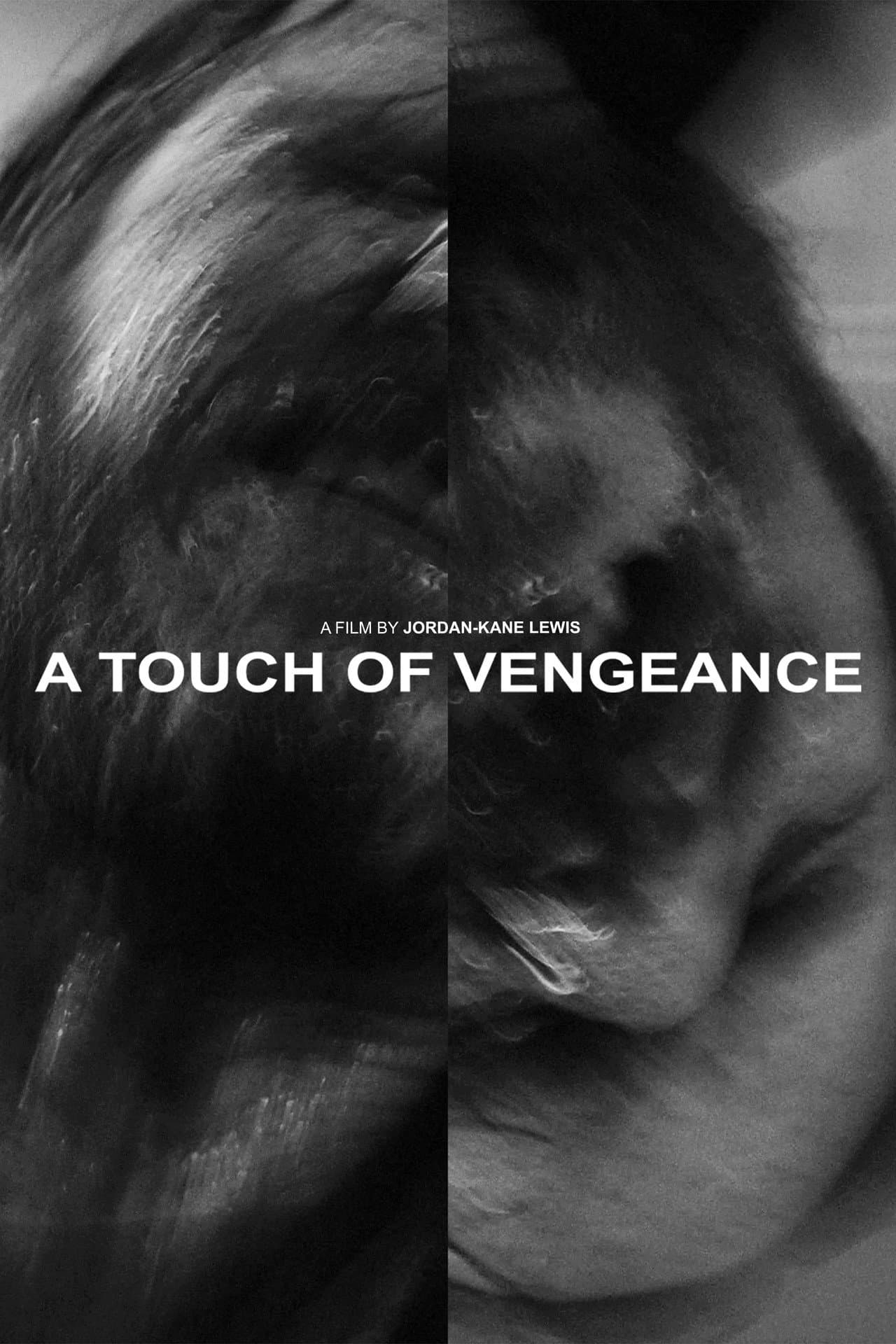 A Touch of Vengeance preview 2
