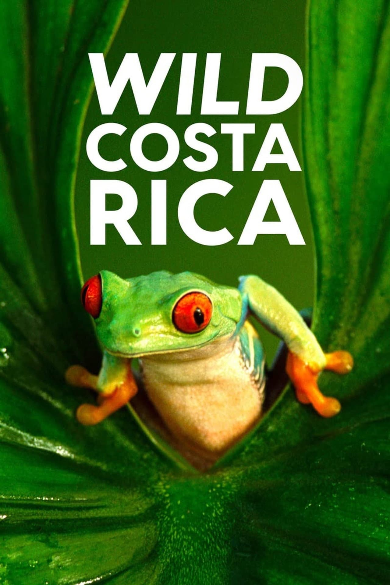 Wild Costa Rica preview 2