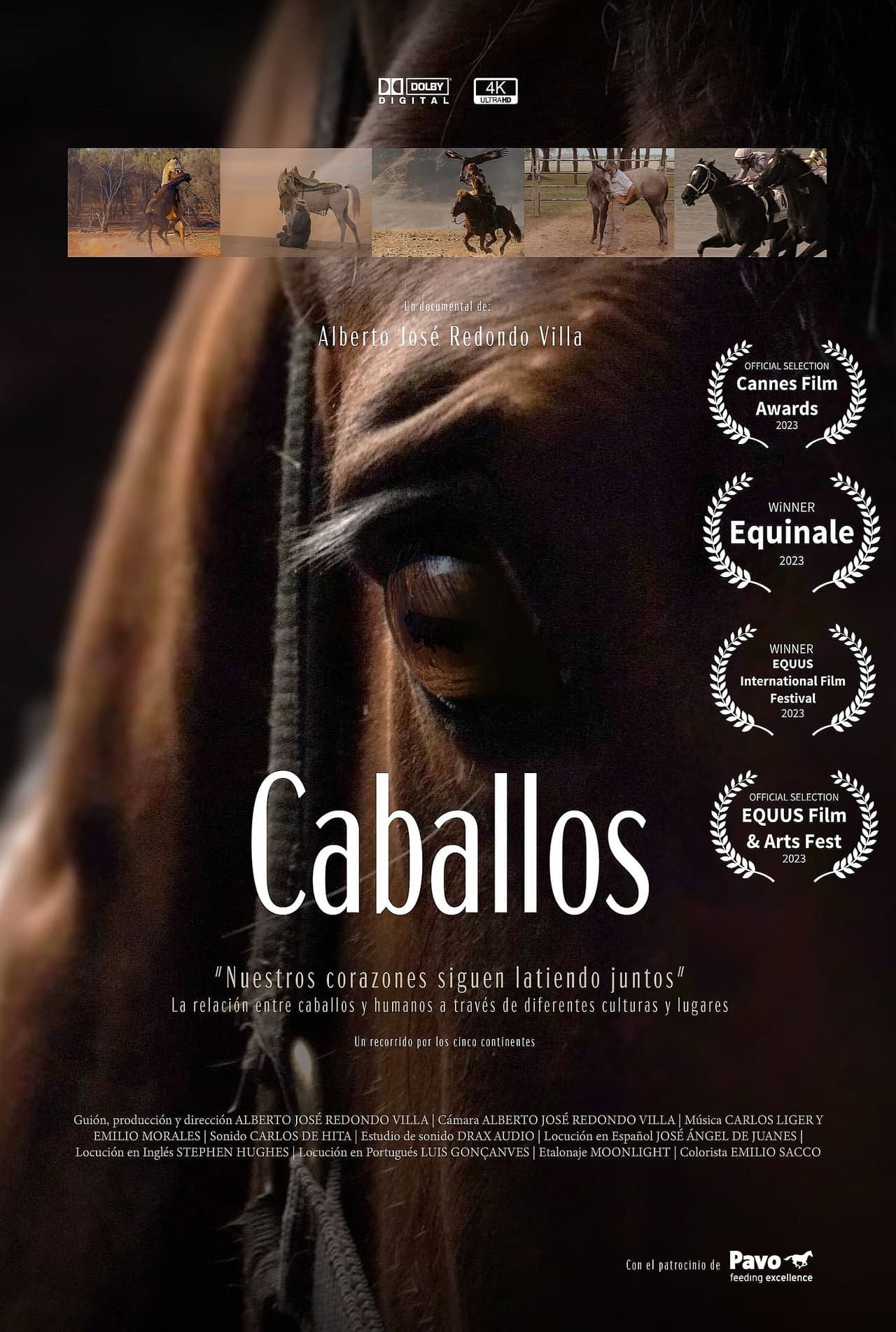 Caballos preview 1