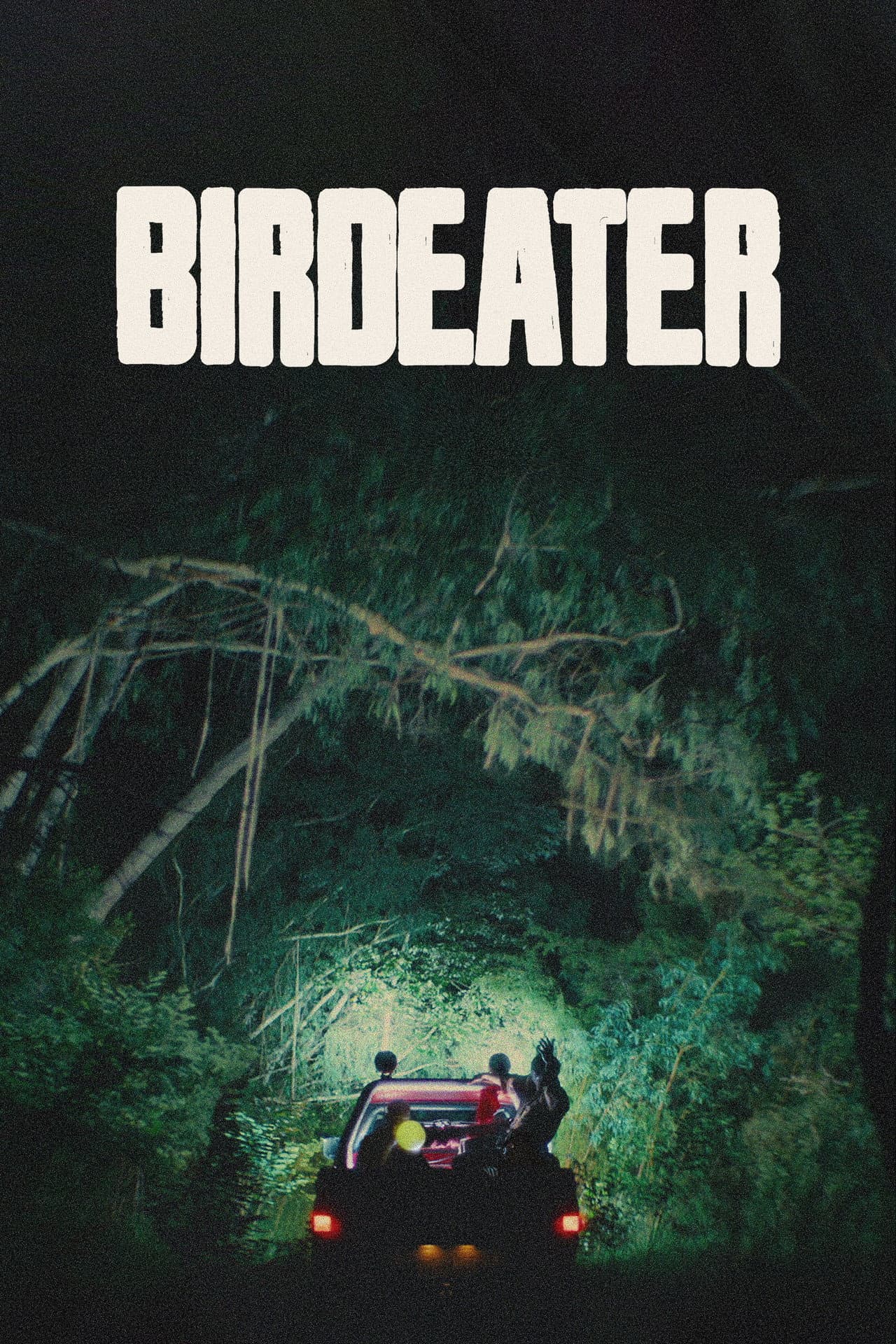 Birdeater preview 2