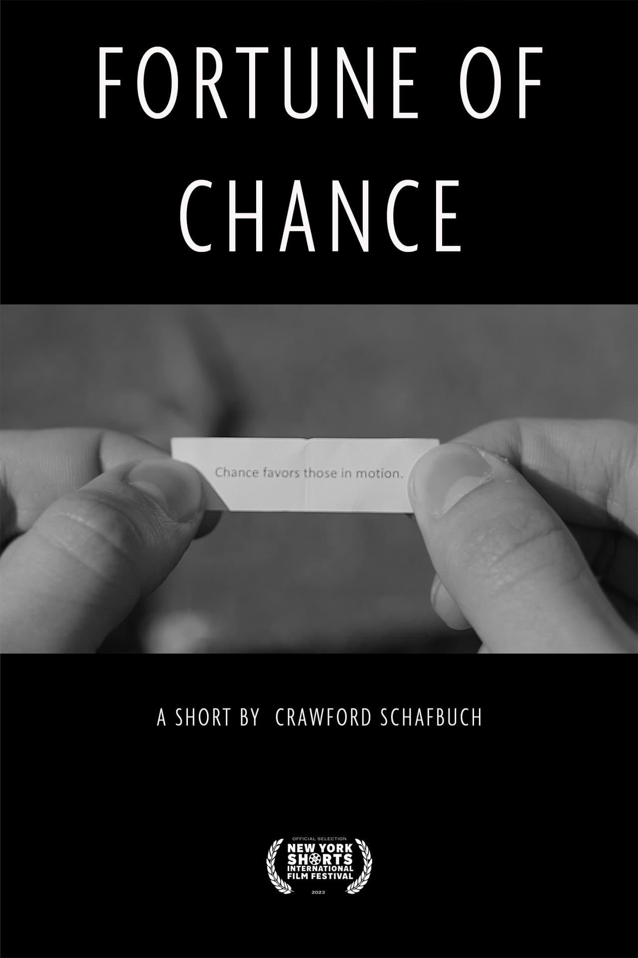 Fortune of Chance preview 2